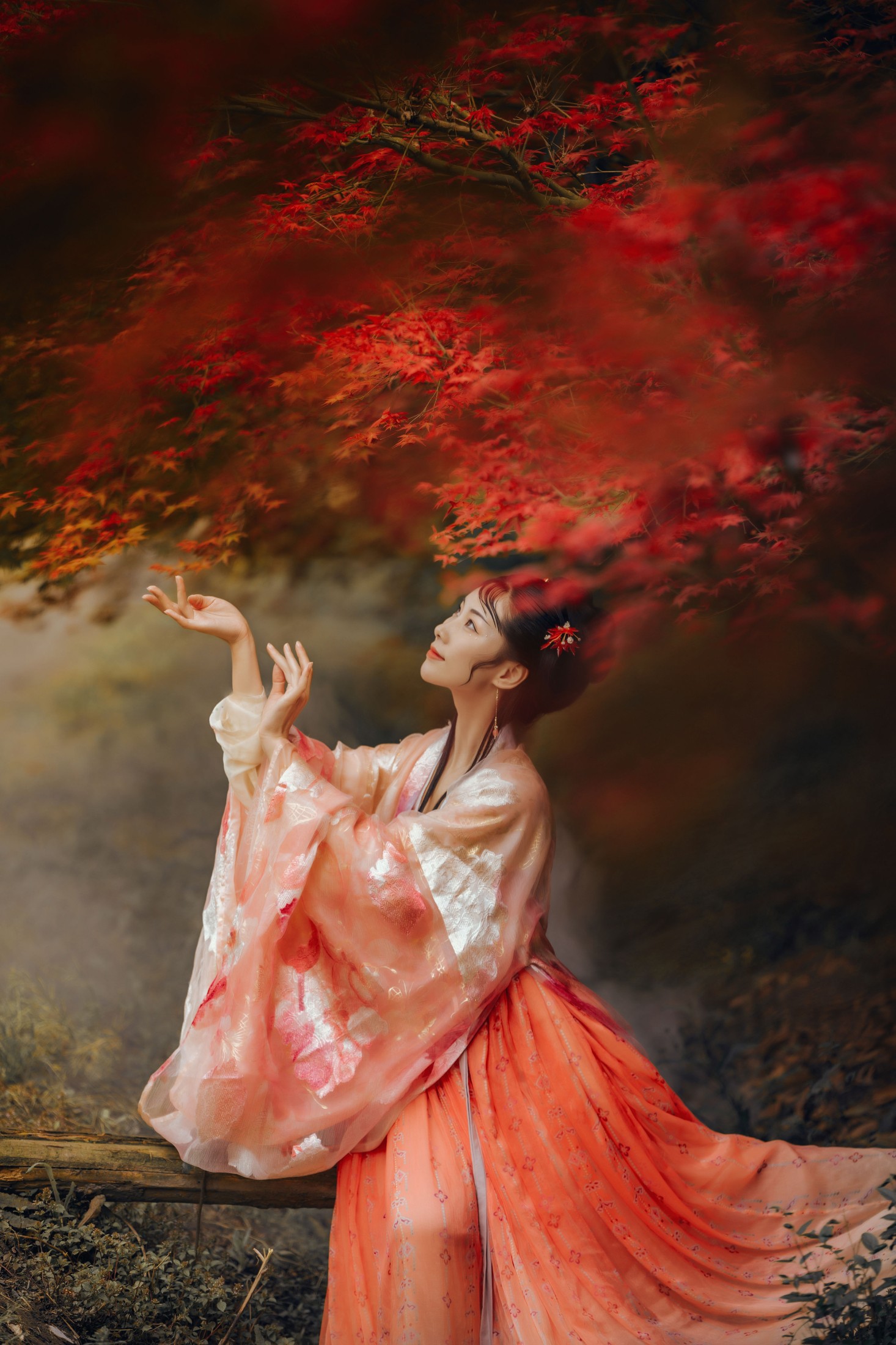 木哥 – 《枫意》[21P]