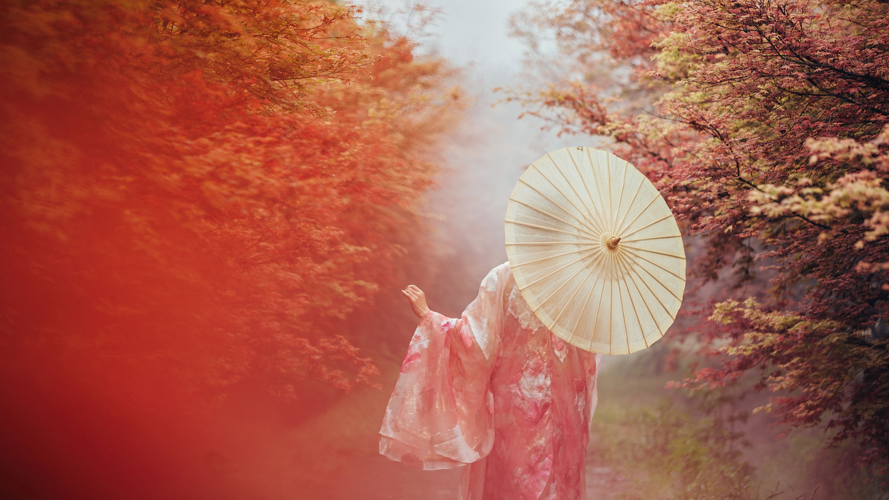 木哥 – 《枫意》[21P]