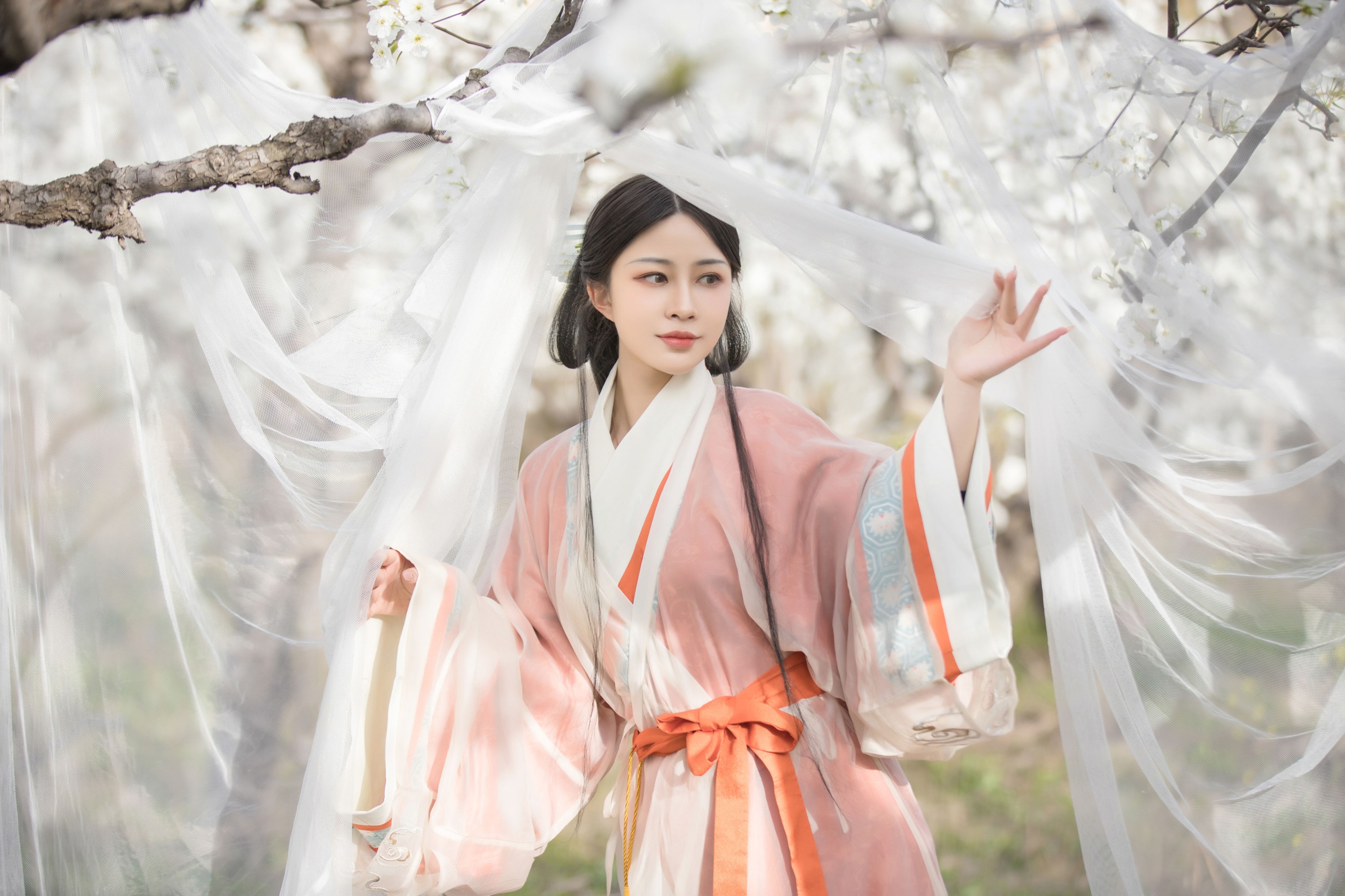 鹿哥 – 《香寒未逐风》[24P]