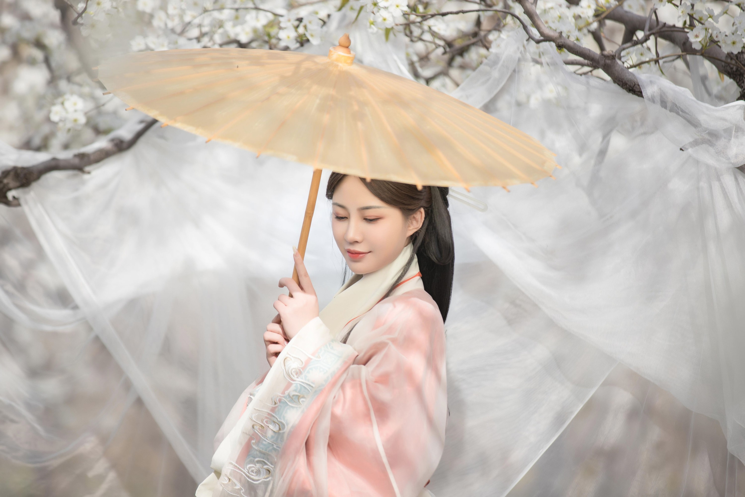 鹿哥 – 《香寒未逐风》[24P]