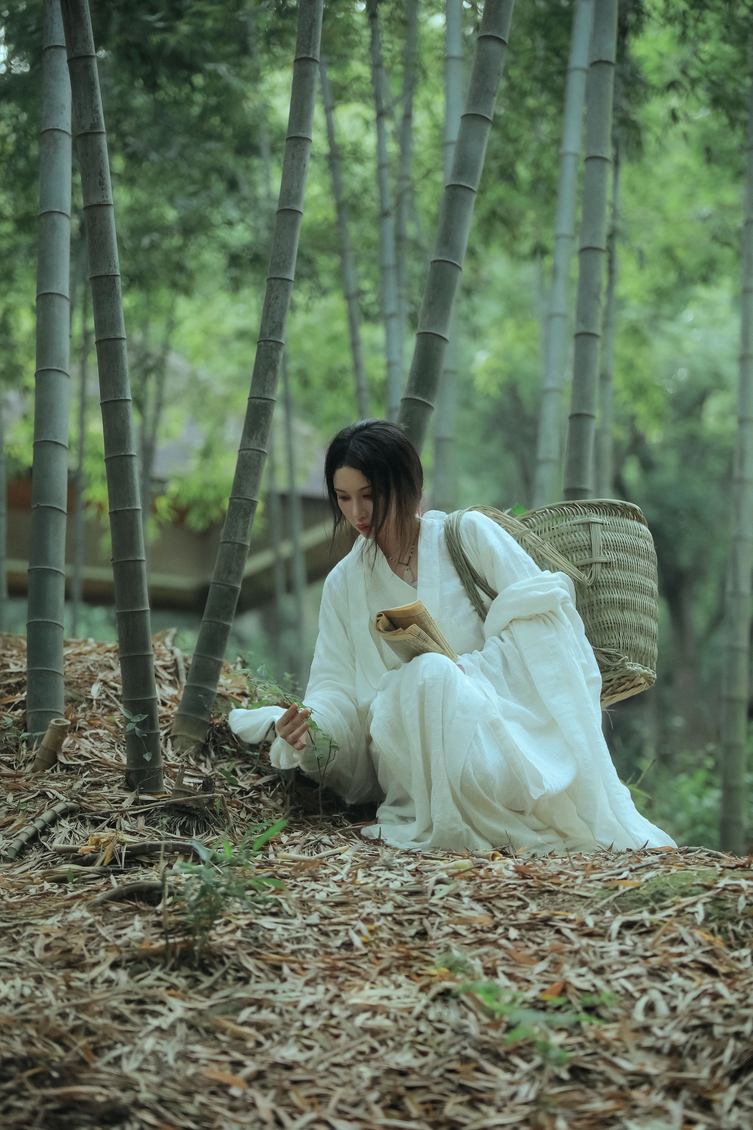 阿妍纸 – 《神农氏》[26P]