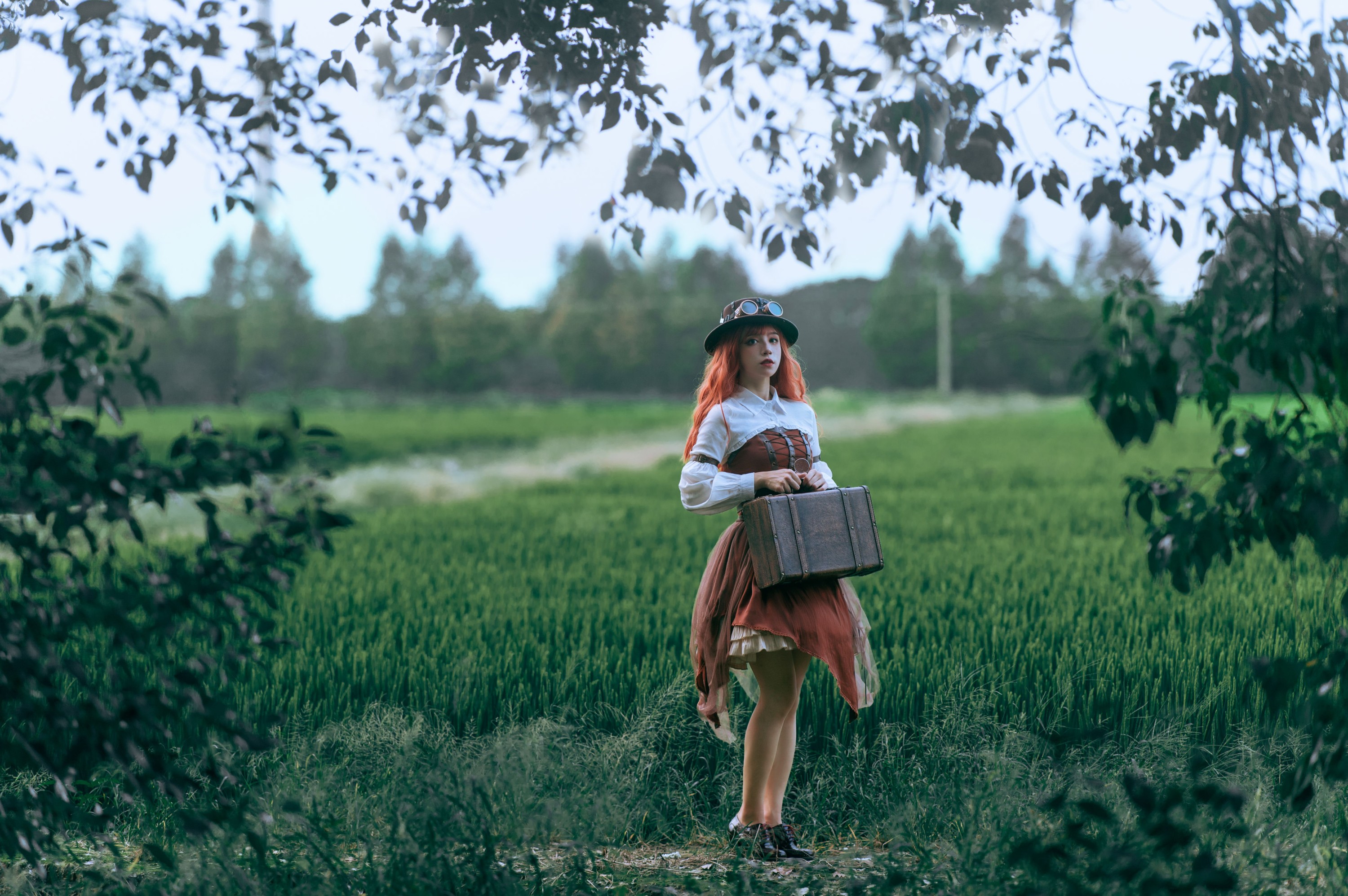 贰加六 – 《神奇植物在哪里》[31P]