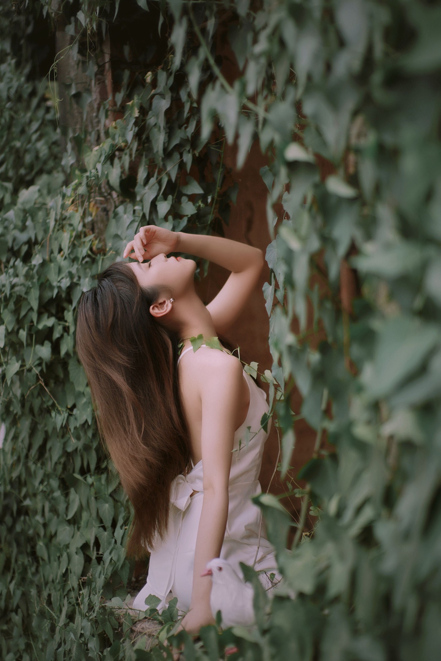 Hanna – 《花寂》[21P]