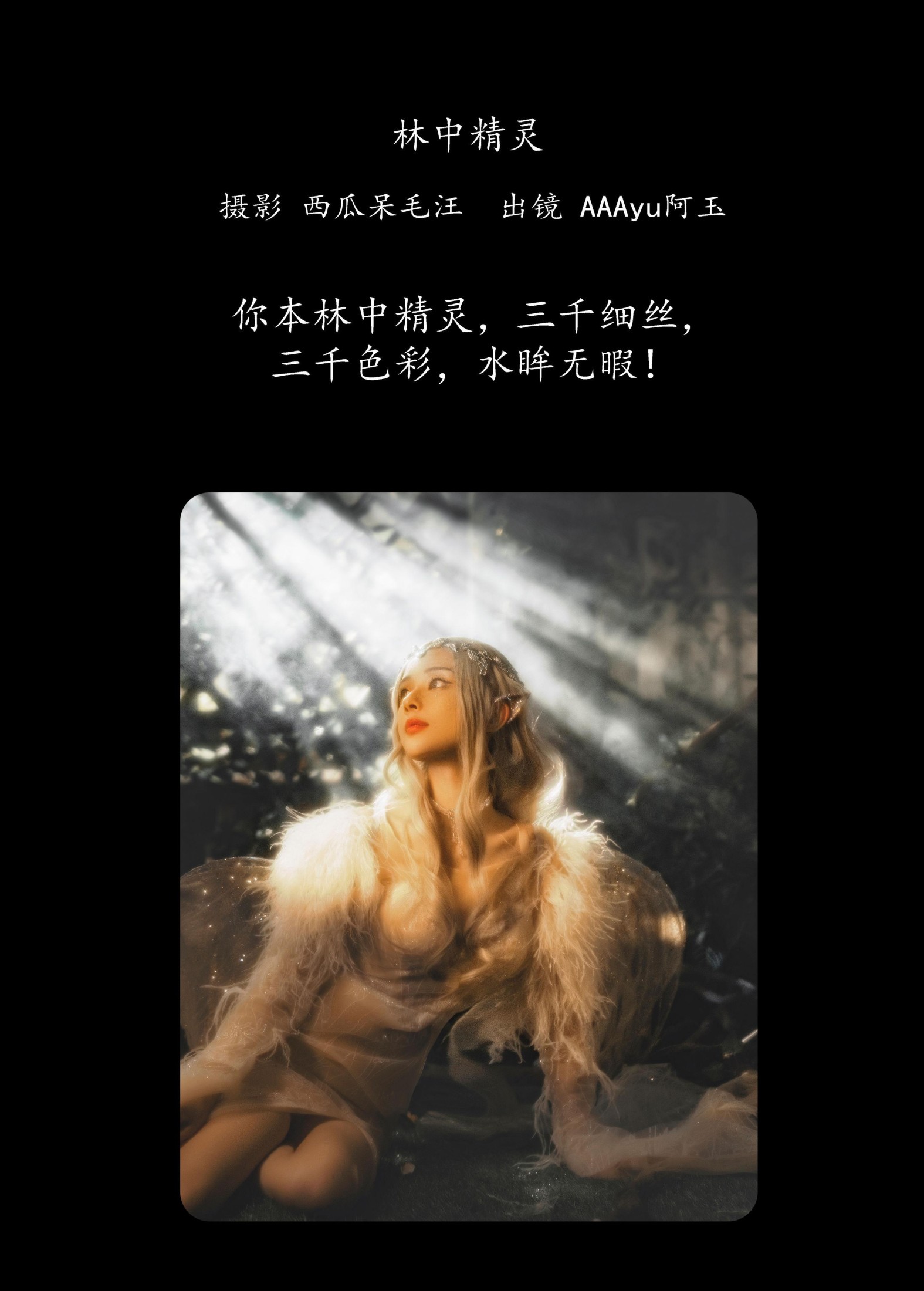 AAAyu阿玉 – 《林中精灵》[34P]