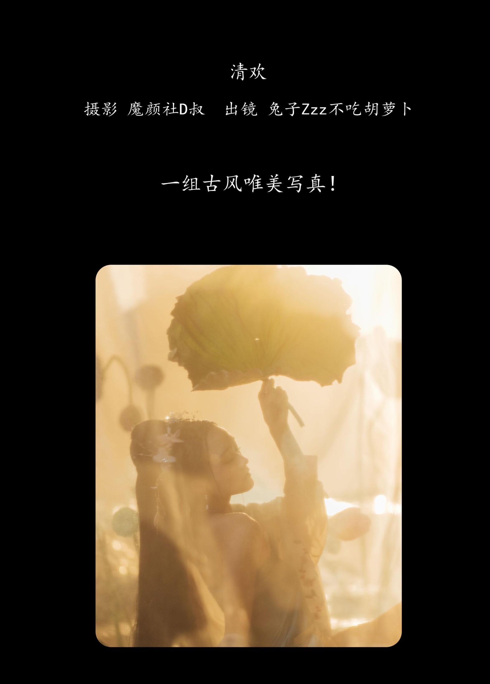 兔子Zzz不吃胡萝卜 – 《清欢》[35P]