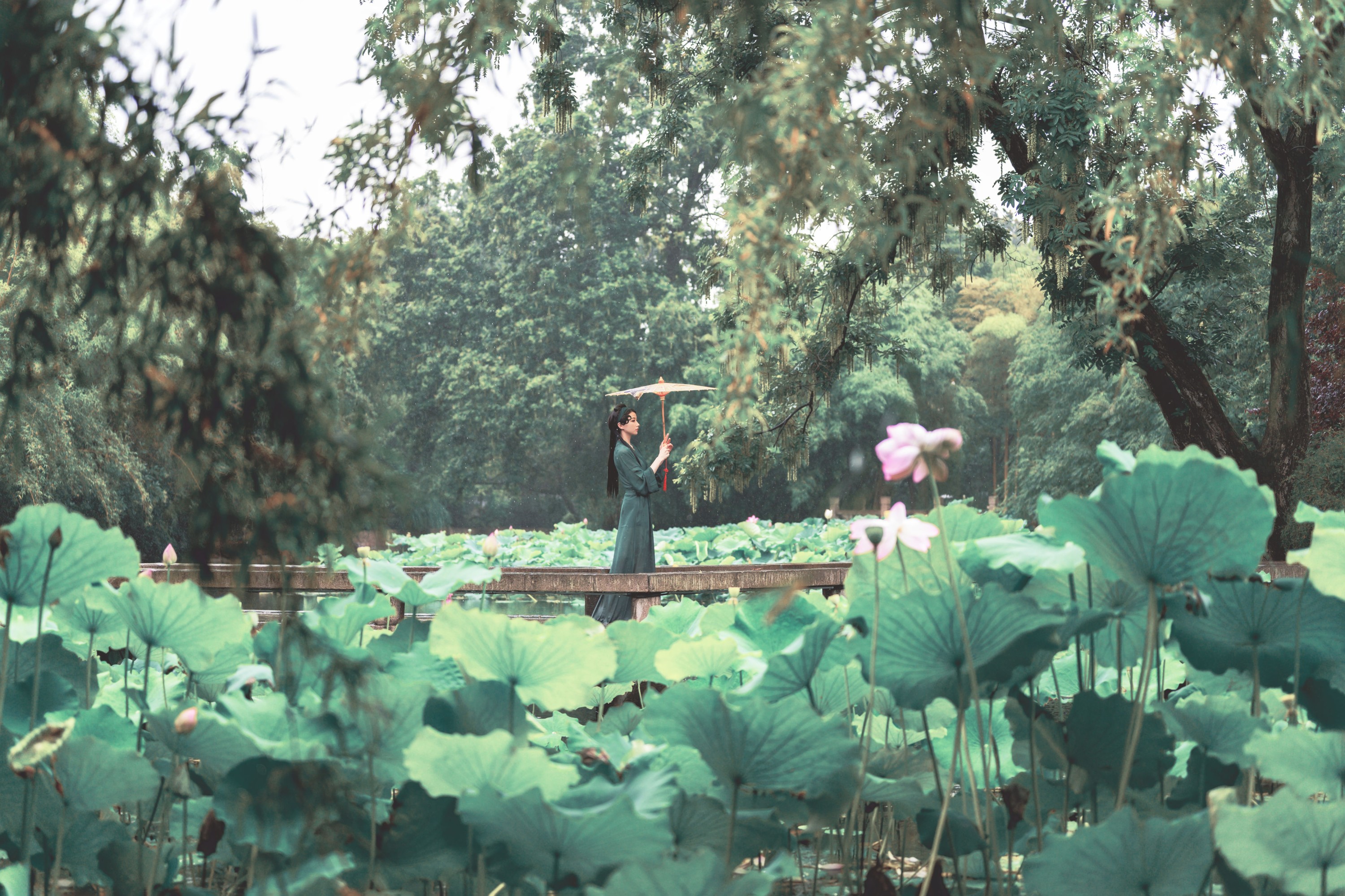 海星星_seastar – 《青蛇》[44P]