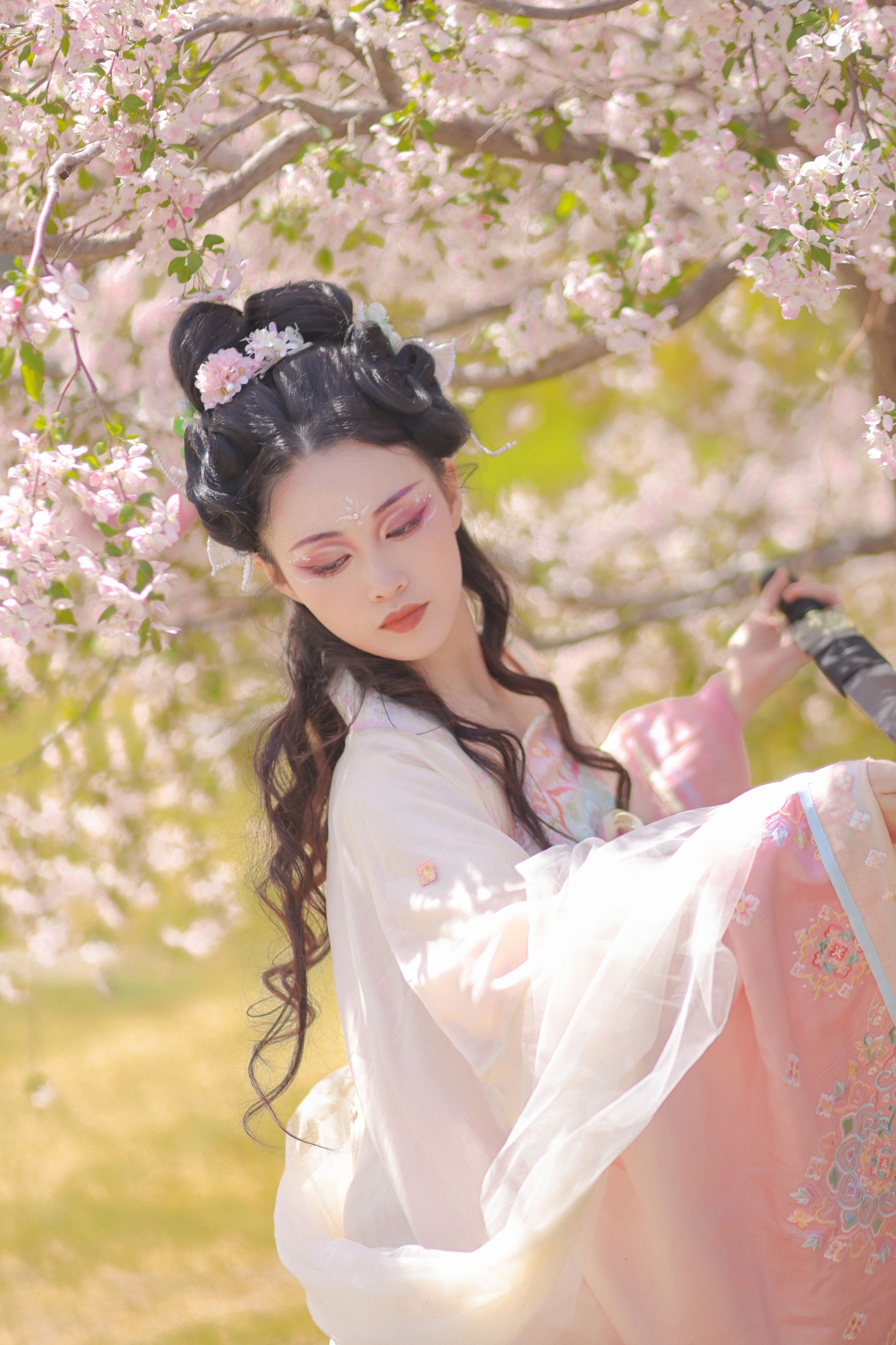 青霜鹅 – 《海棠国风插画》[22P]