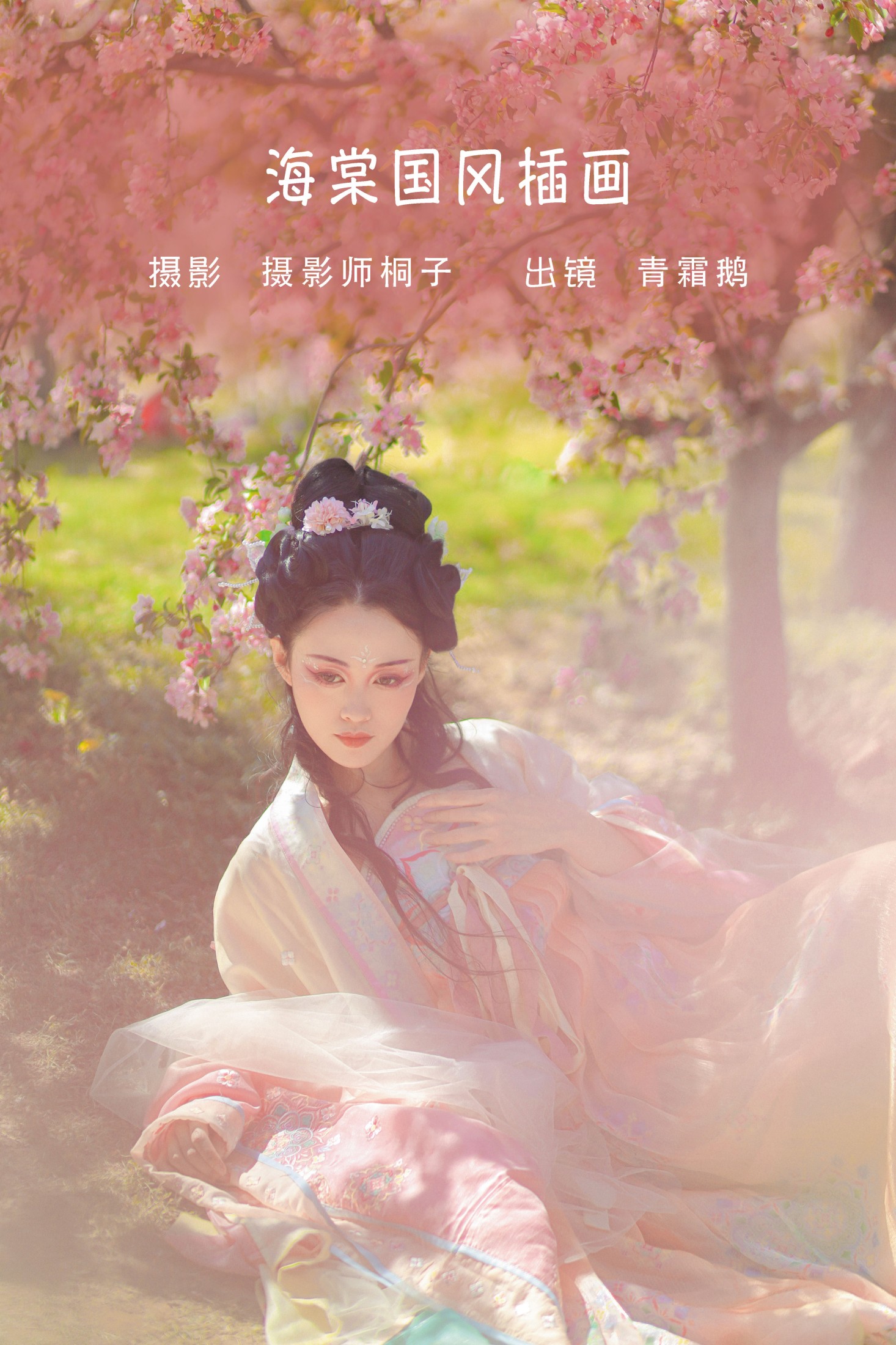 青霜鹅 – 《海棠国风插画》[22P]