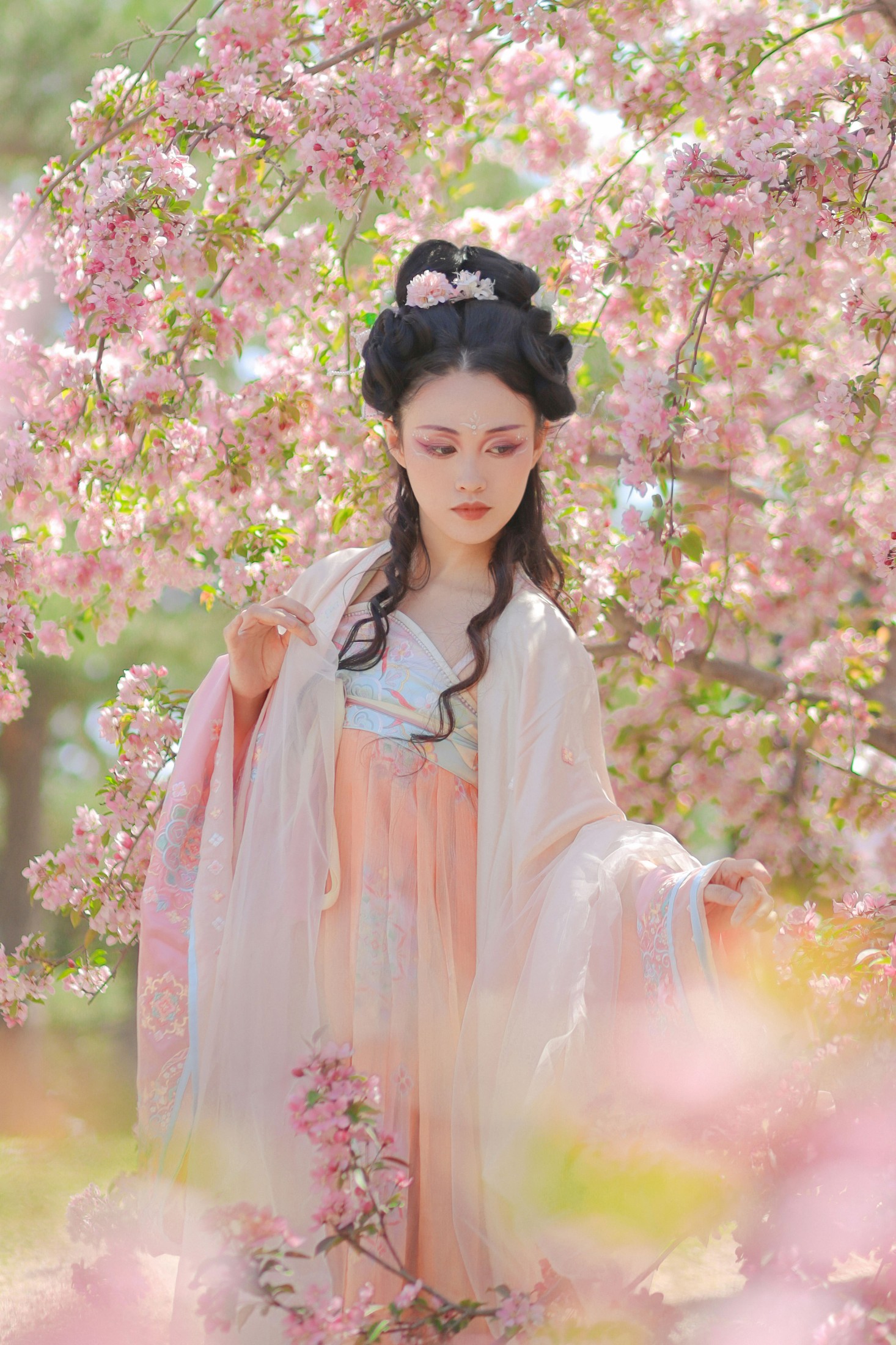 青霜鹅 – 《海棠国风插画》[22P]