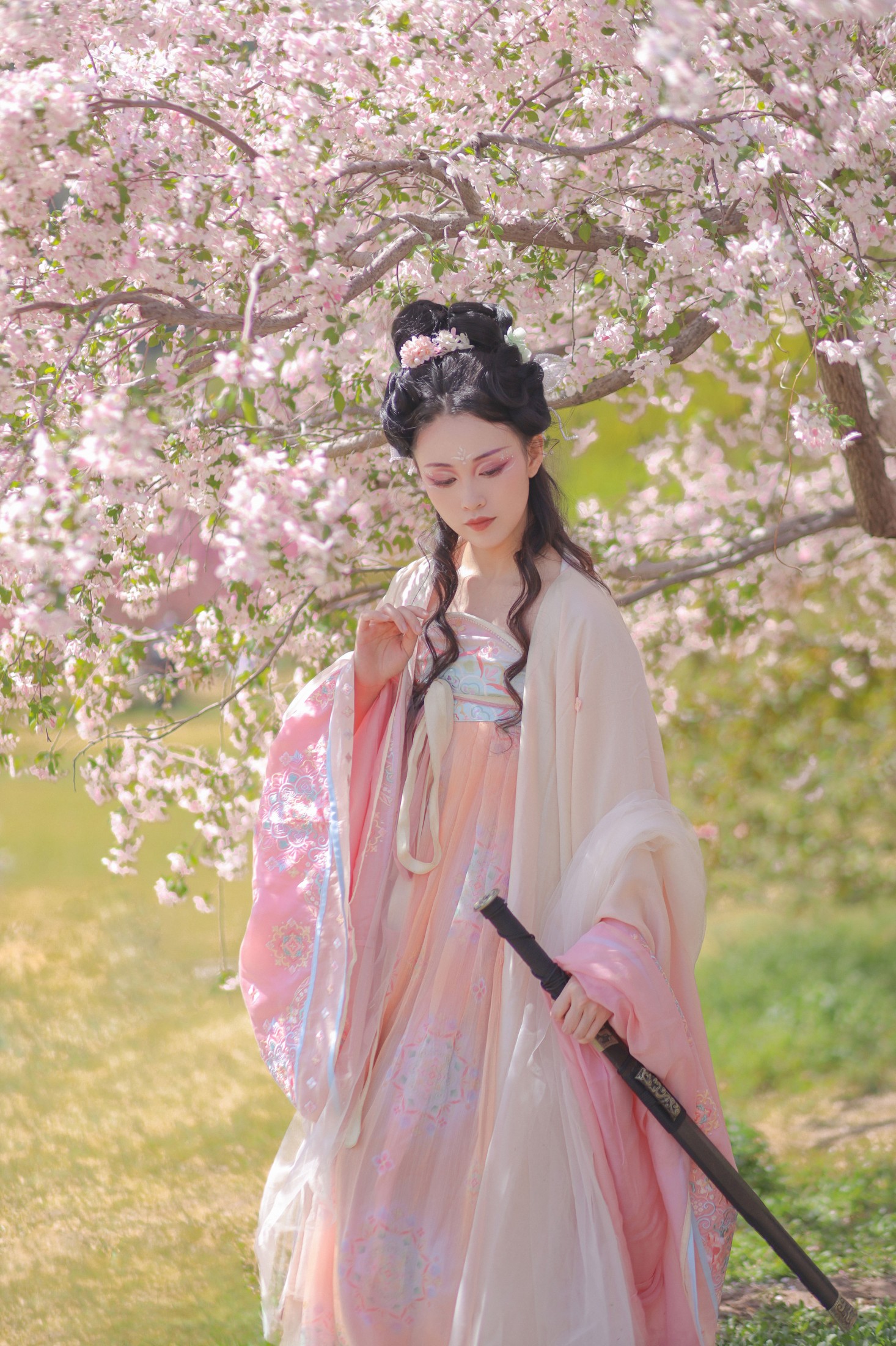 青霜鹅 – 《海棠国风插画》[22P]