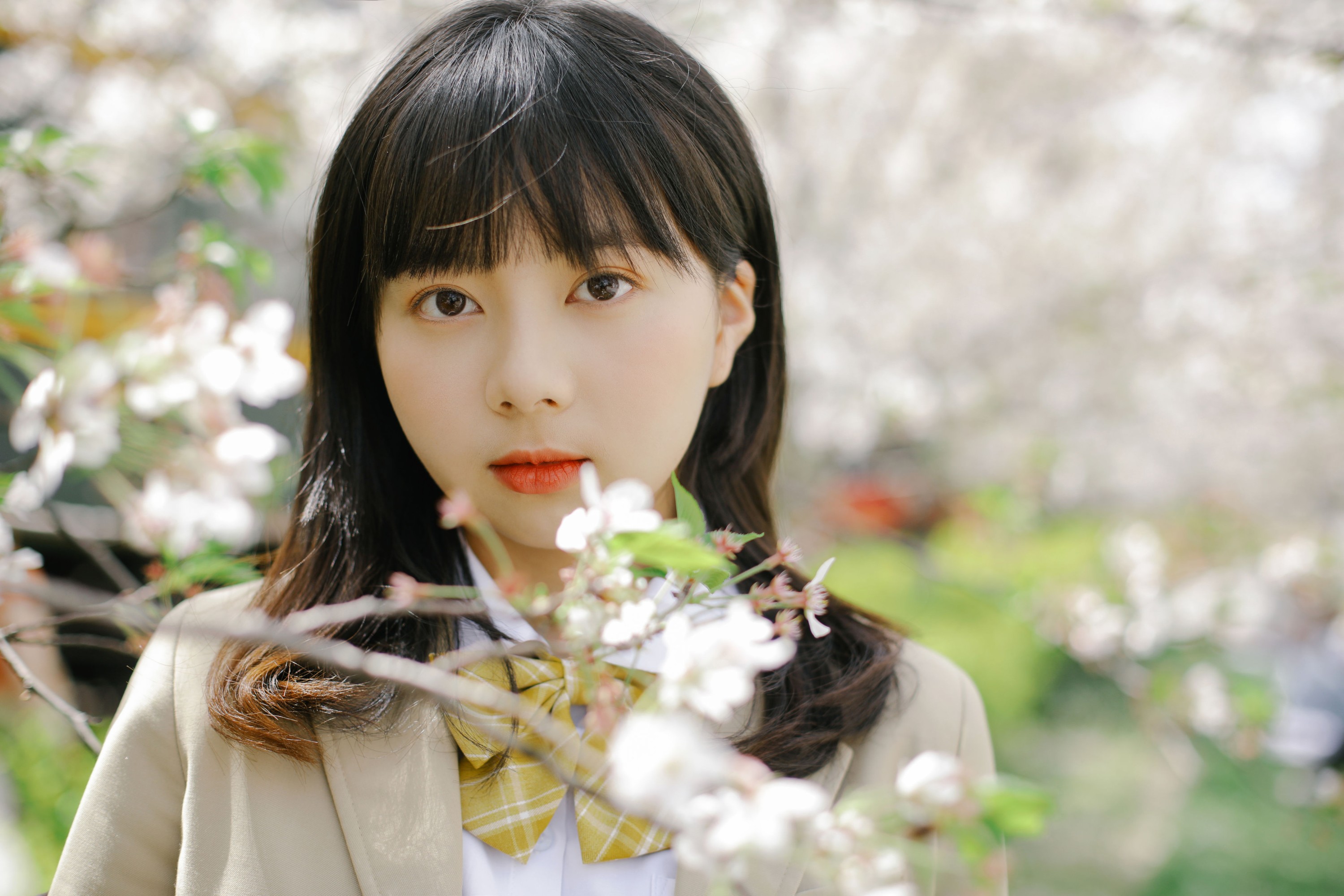 谢乏乏 – 《樱花烂漫》[39P]