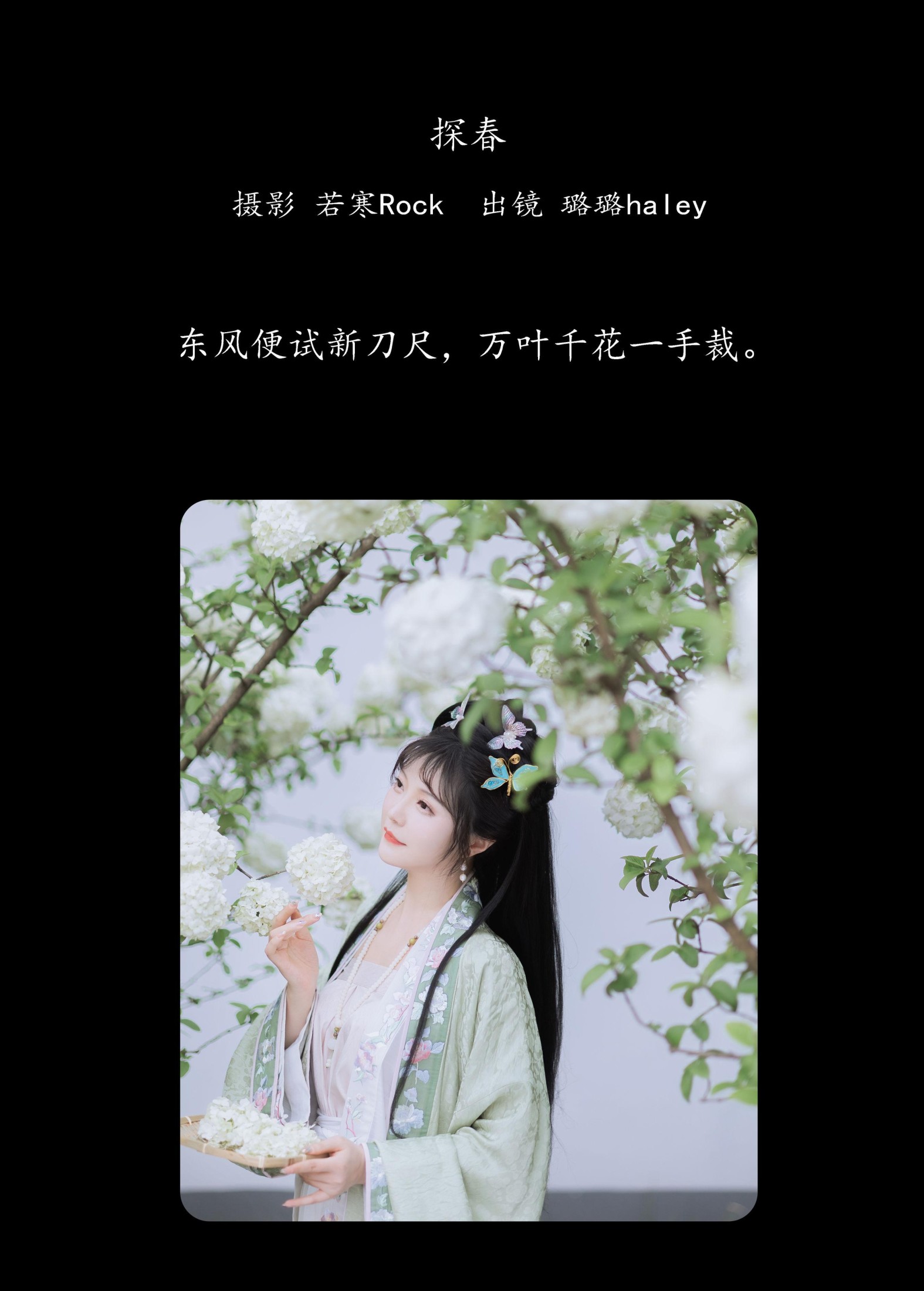 璐璐haley – 《探春》[42P]