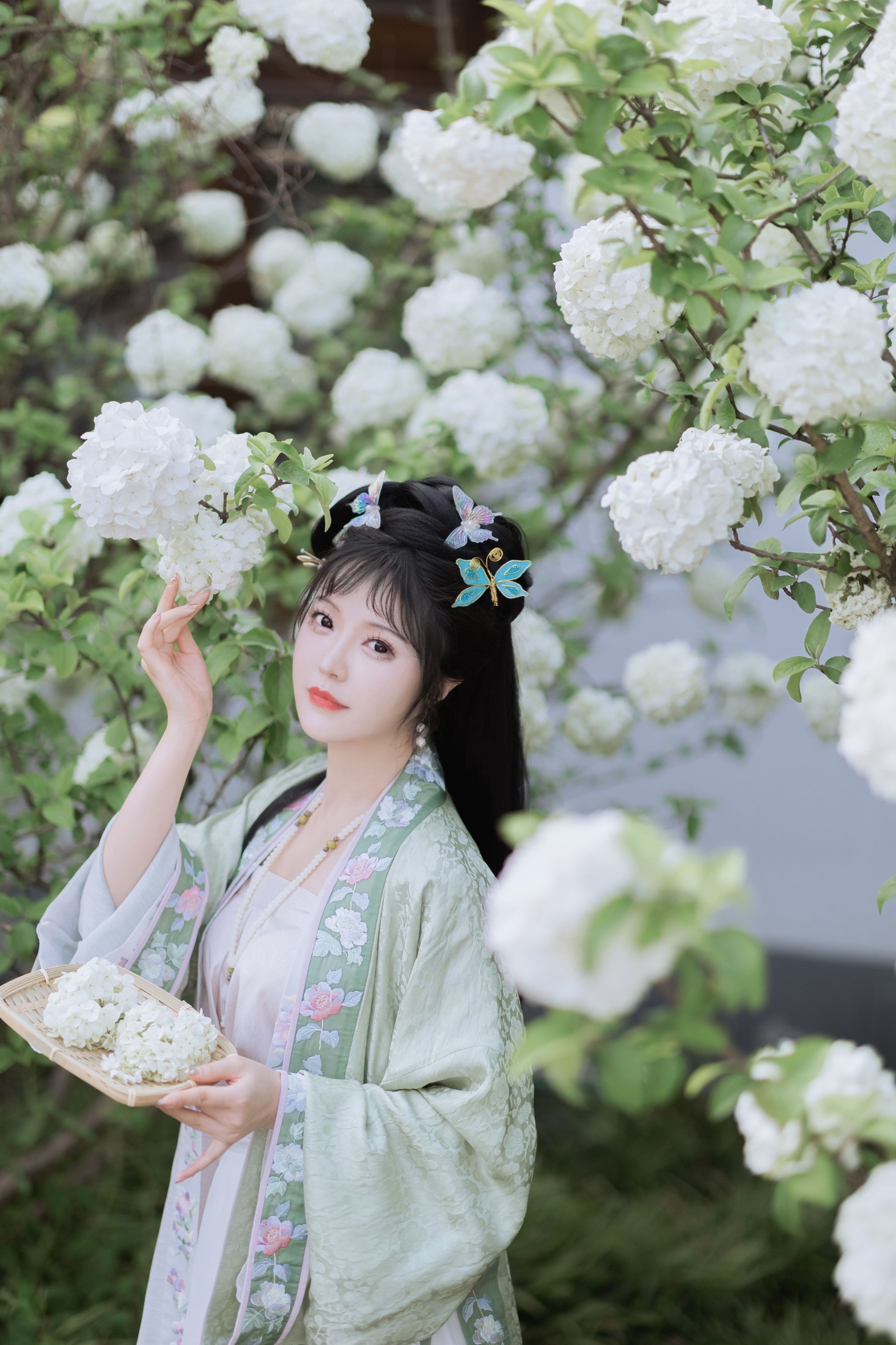 璐璐haley – 《探春》[42P]