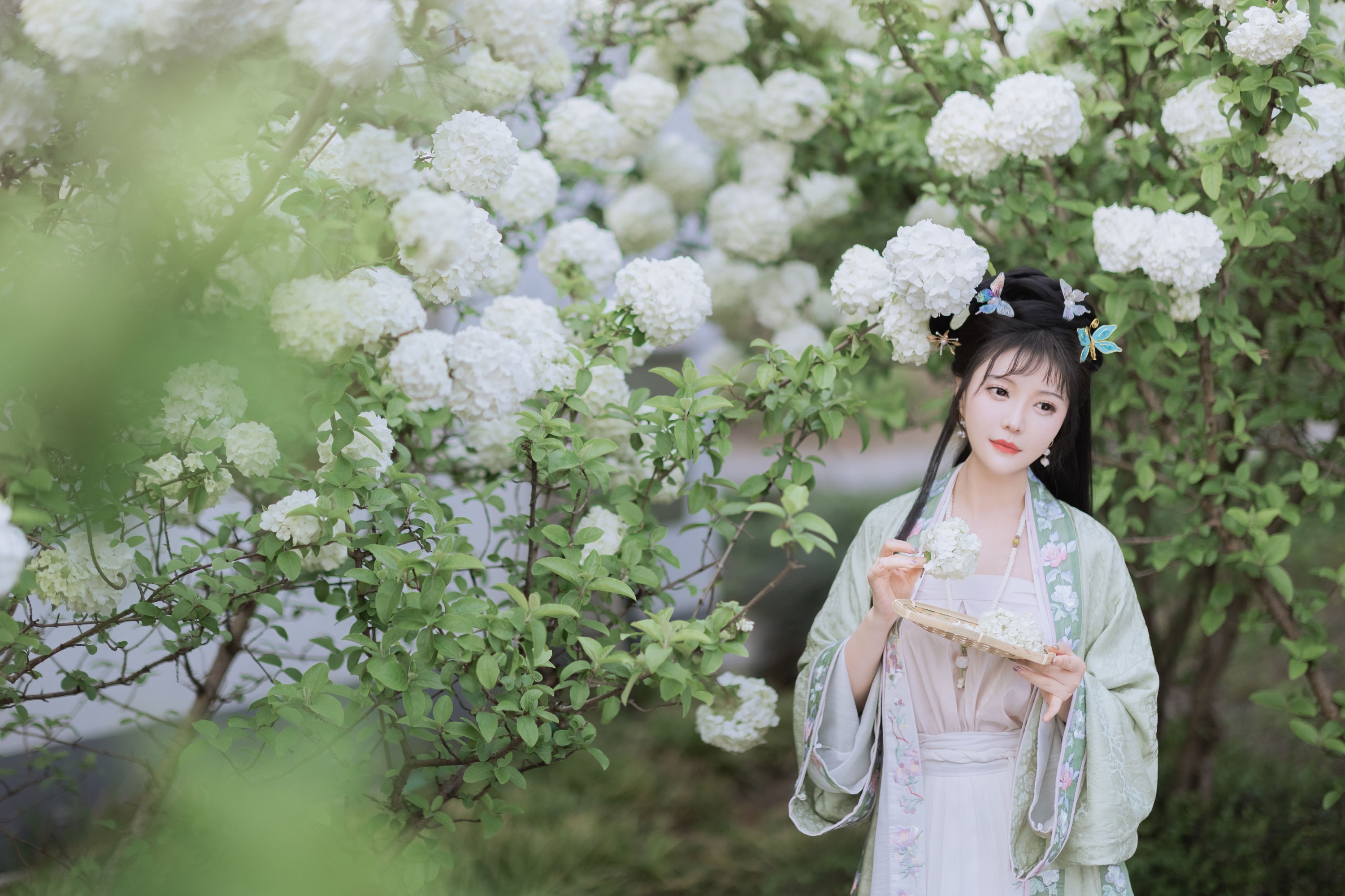 璐璐haley – 《探春》[42P]