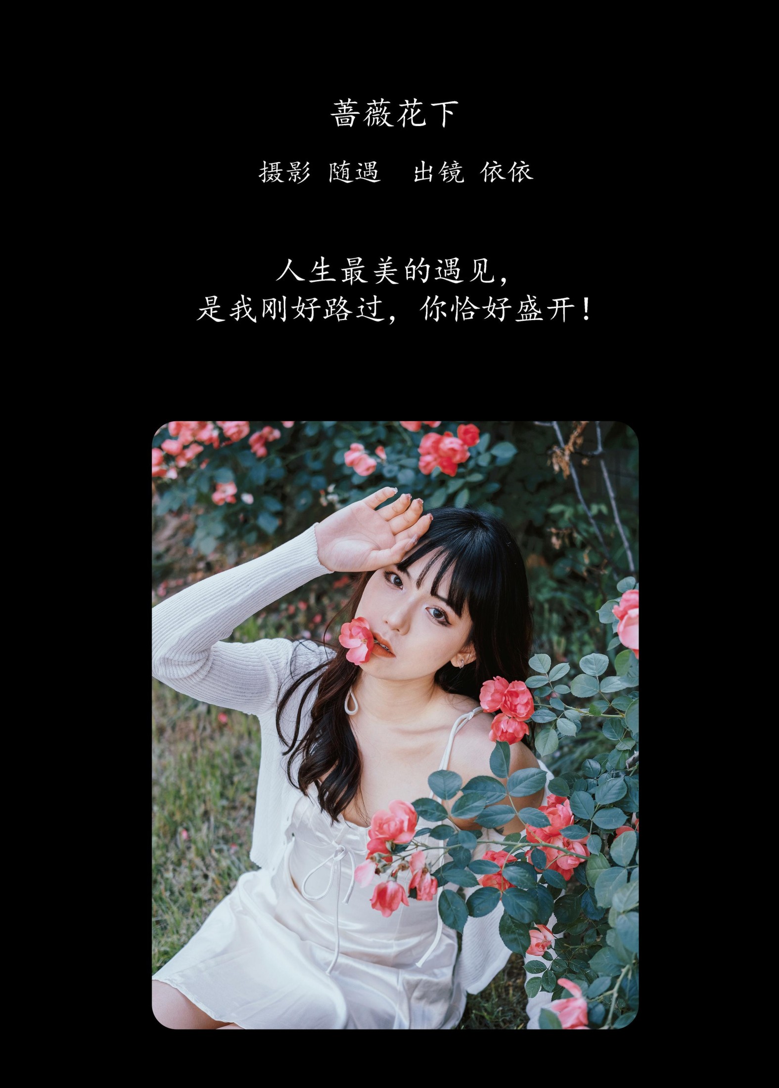 依依 – 《蔷薇花下》[25P]