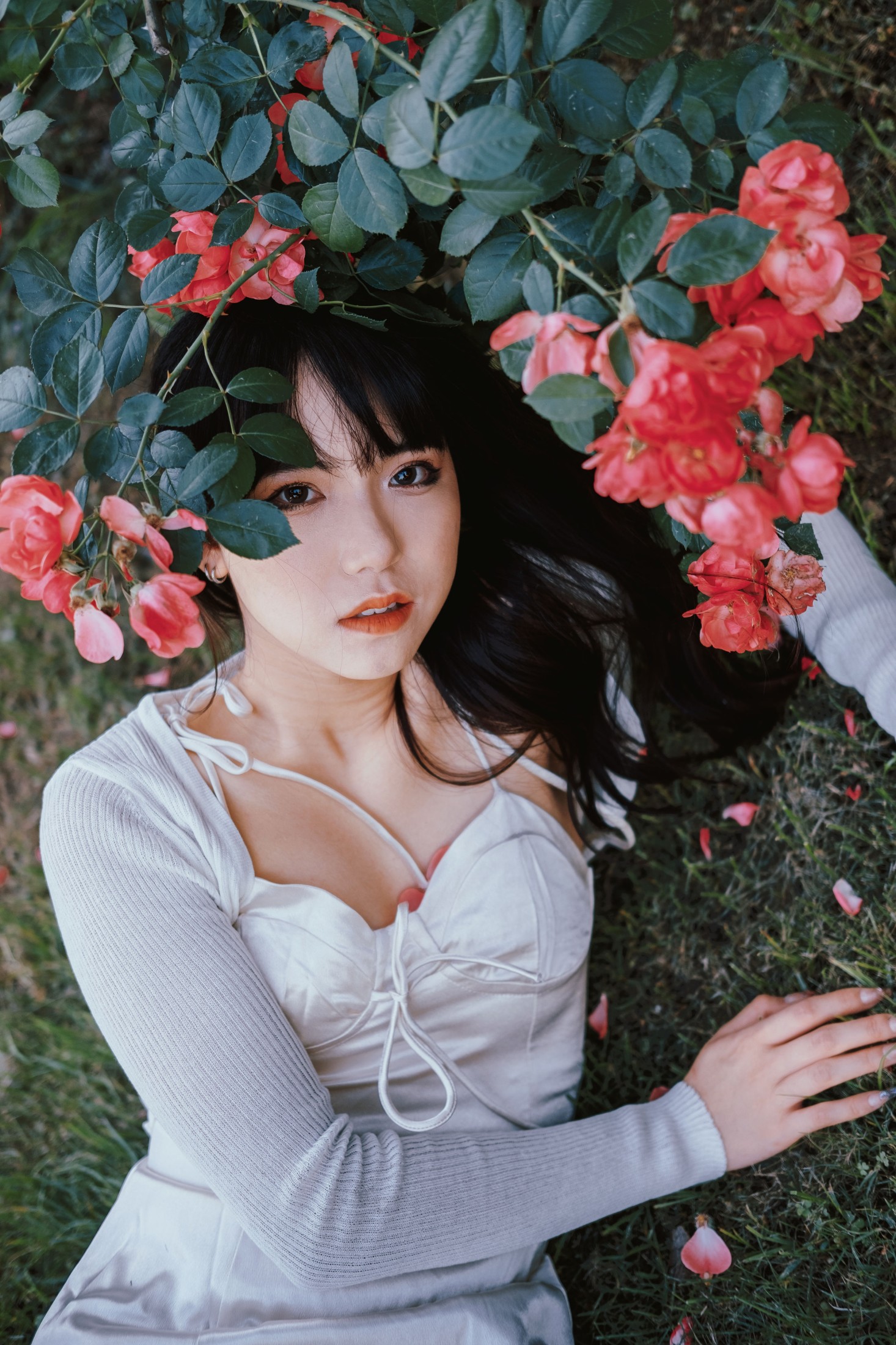 依依 – 《蔷薇花下》[25P]