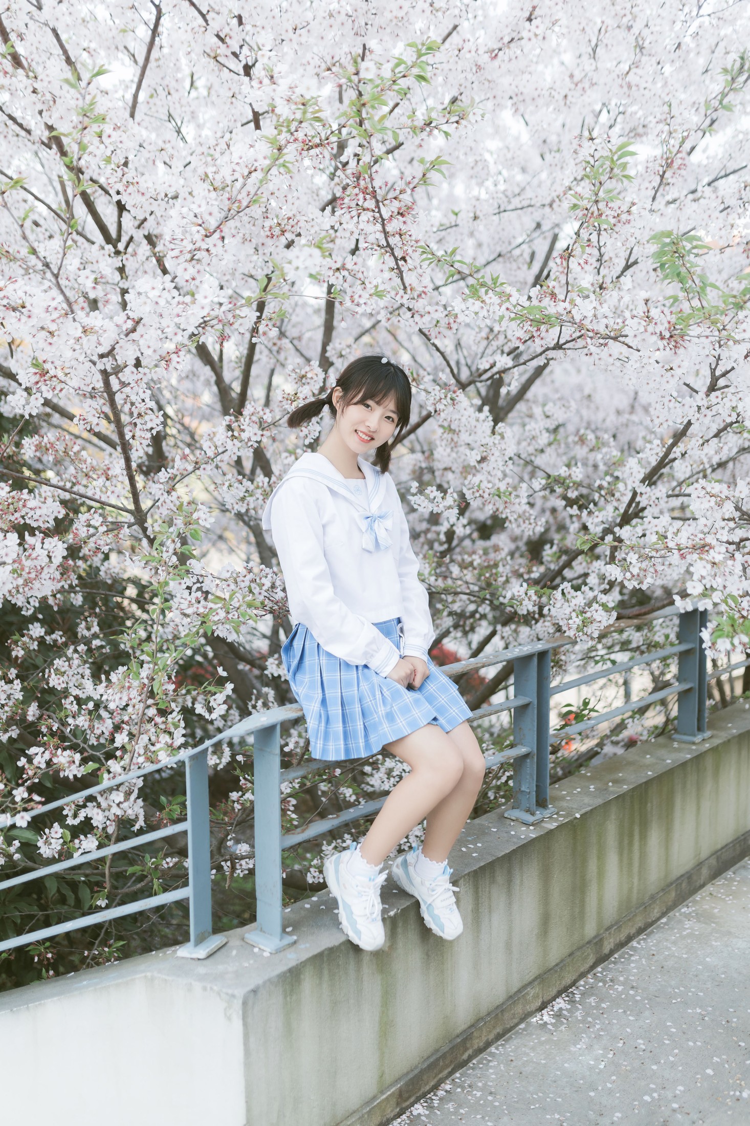 Haruka月岛雯 – 《樱の雪》[24P]