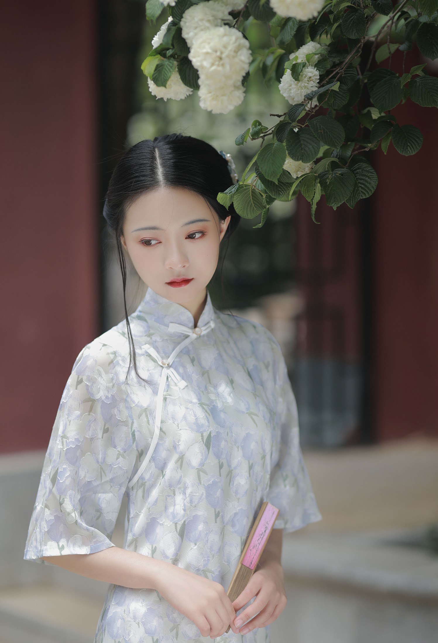 与芳 – 《白茶清欢无别事》[31P]