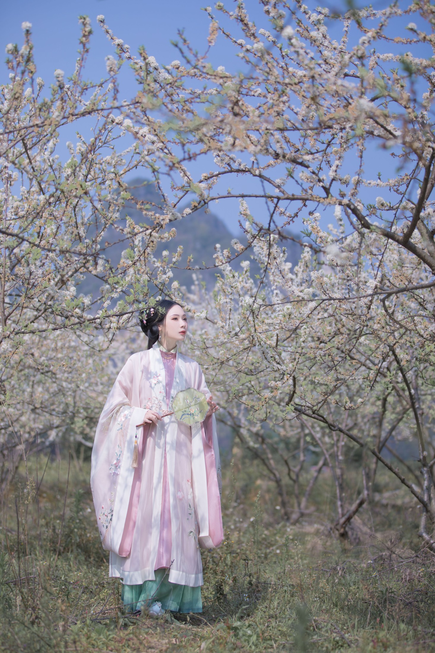 疏影 – 《疏影》[23P]