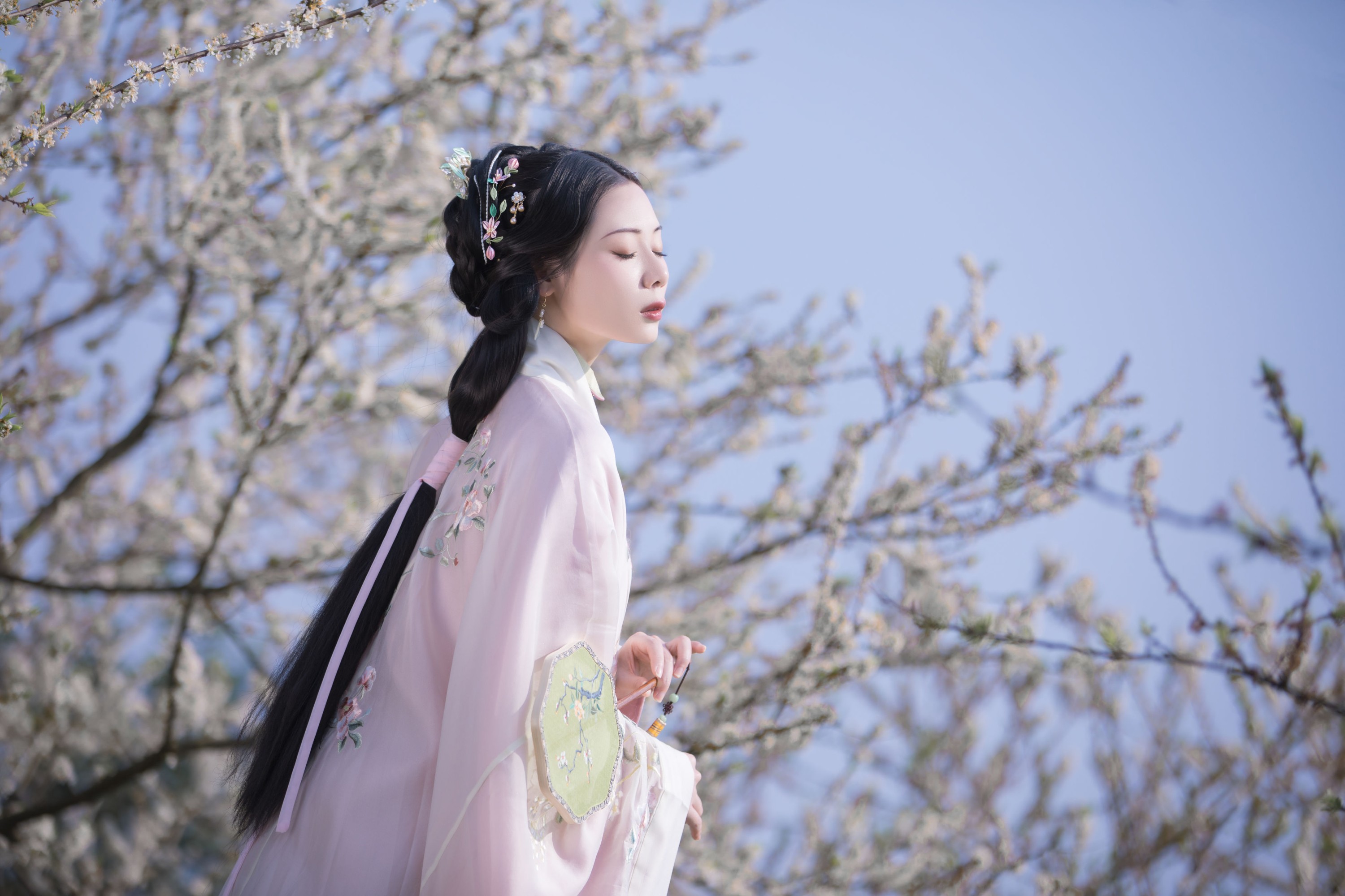 疏影 – 《疏影》[23P]