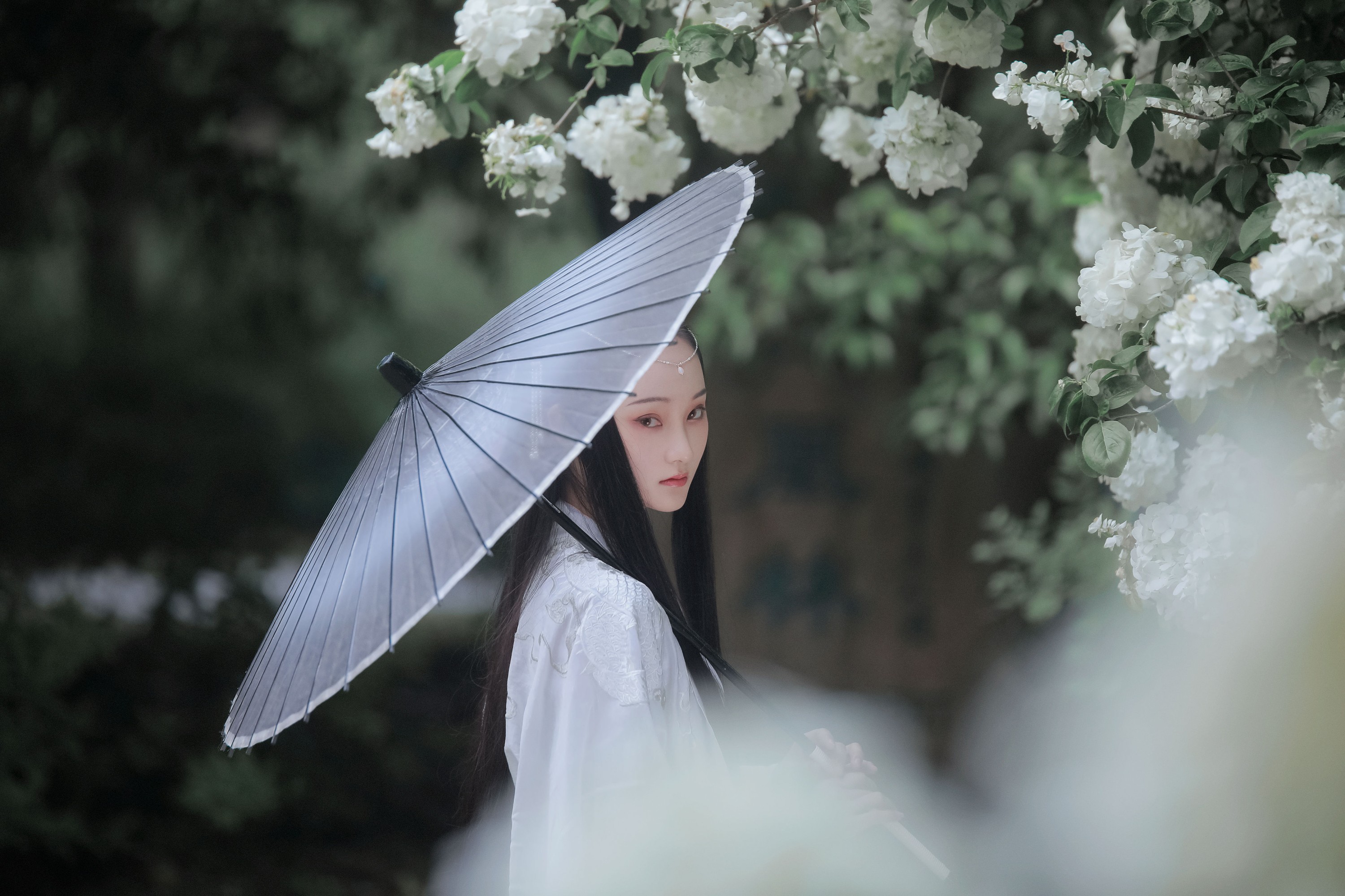 云之是小狐狸吖 – 《琼花并貌》[22P]