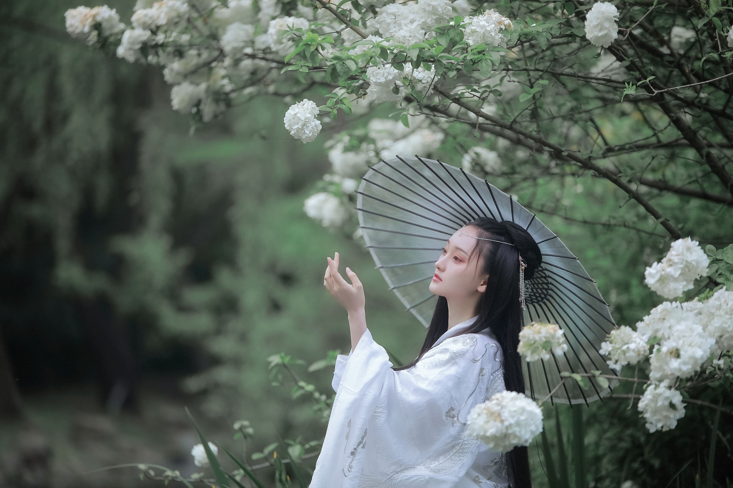 云之是小狐狸吖 – 《琼花并貌》[22P]