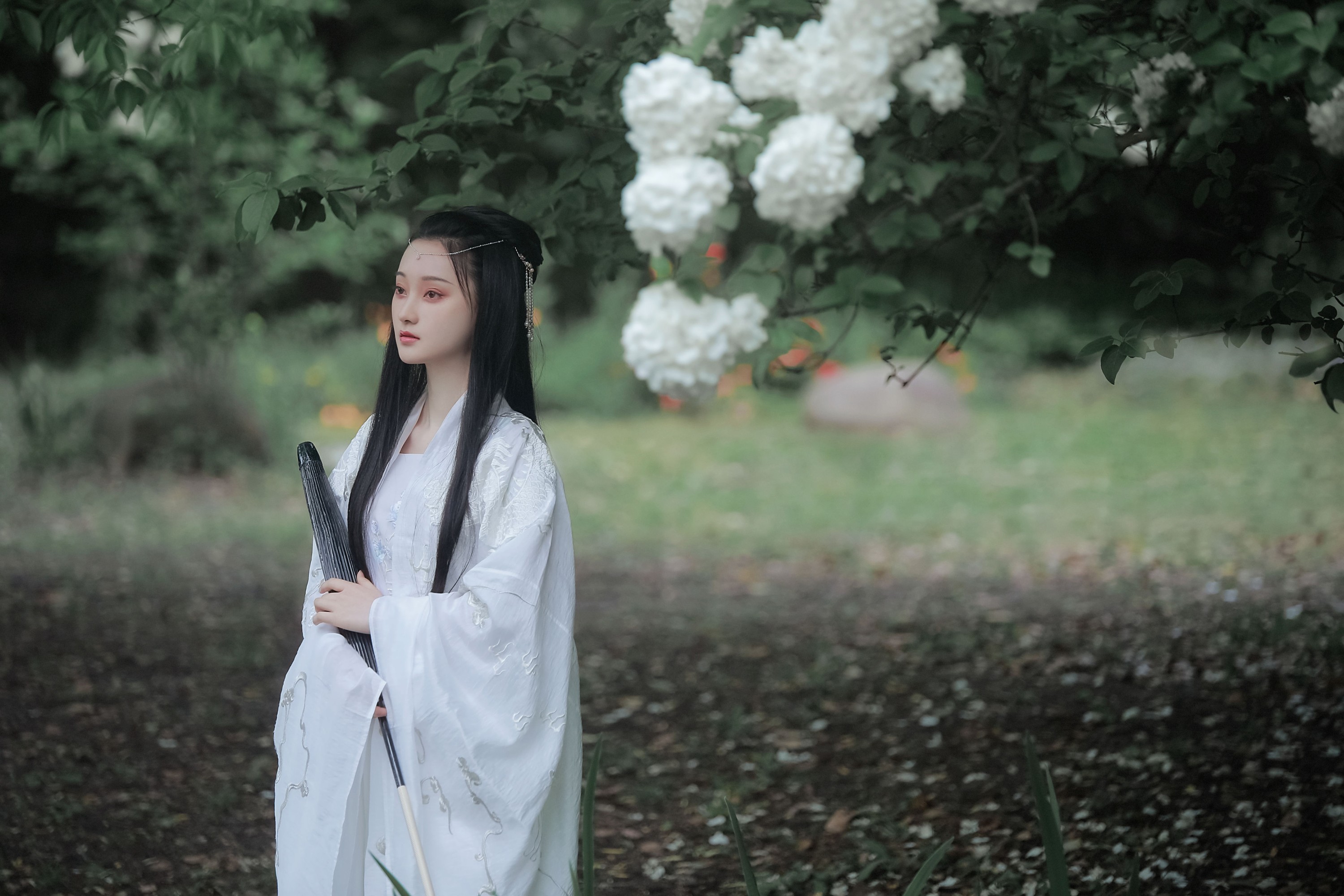 云之是小狐狸吖 – 《琼花并貌》[22P]