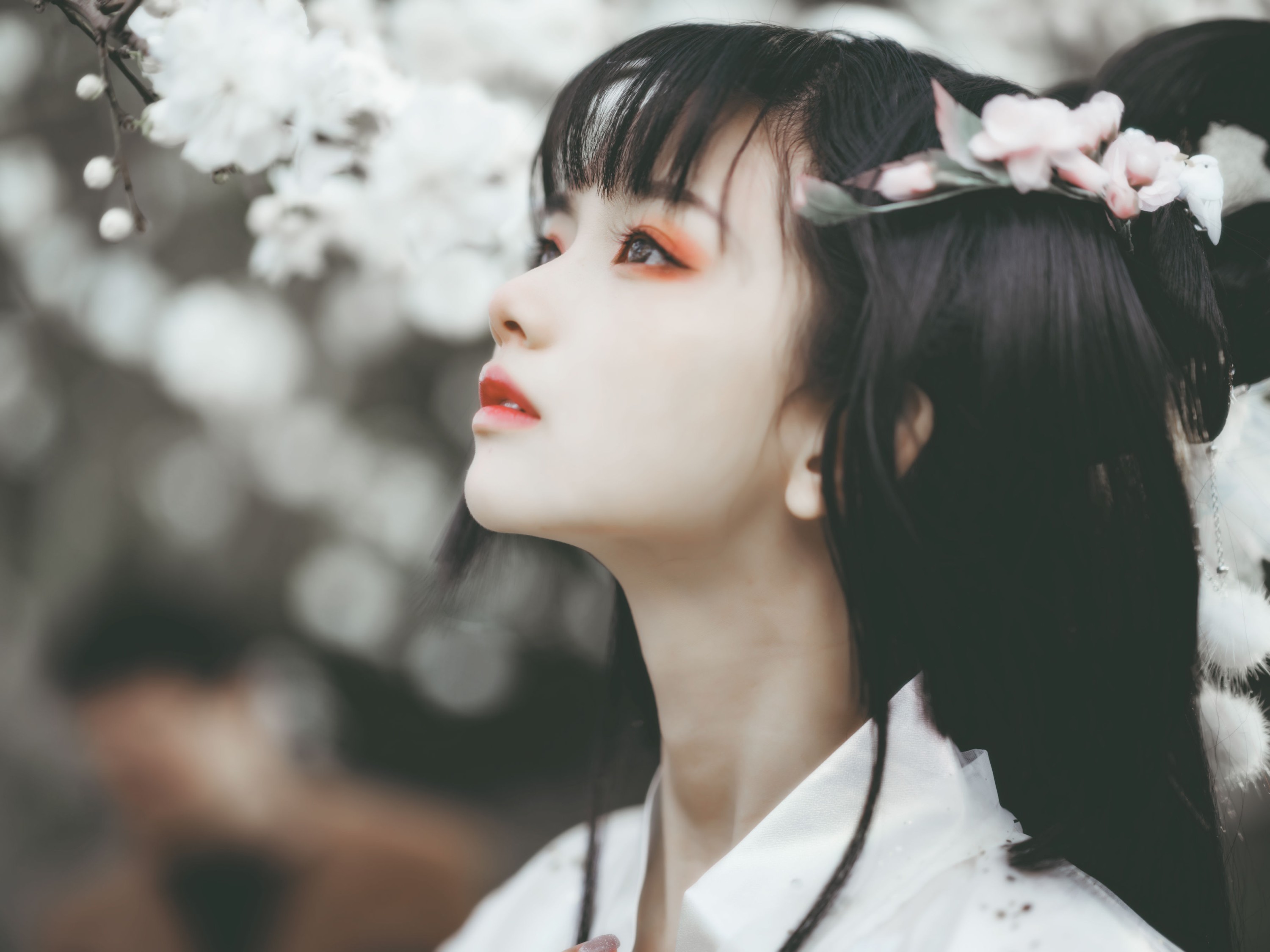 猫梓子 – 《广寒宫》[23P]