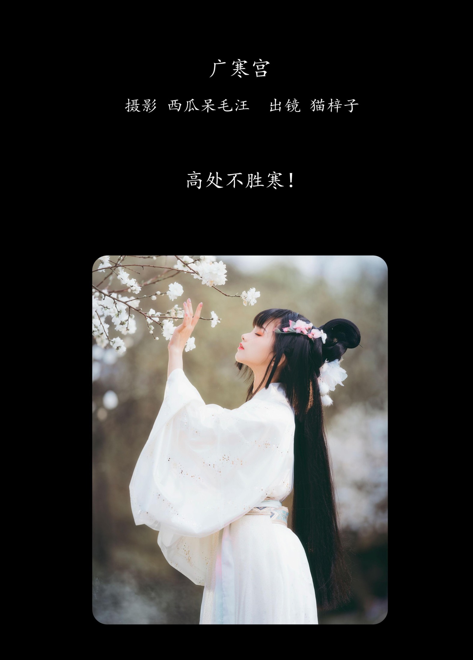 猫梓子 – 《广寒宫》[23P]