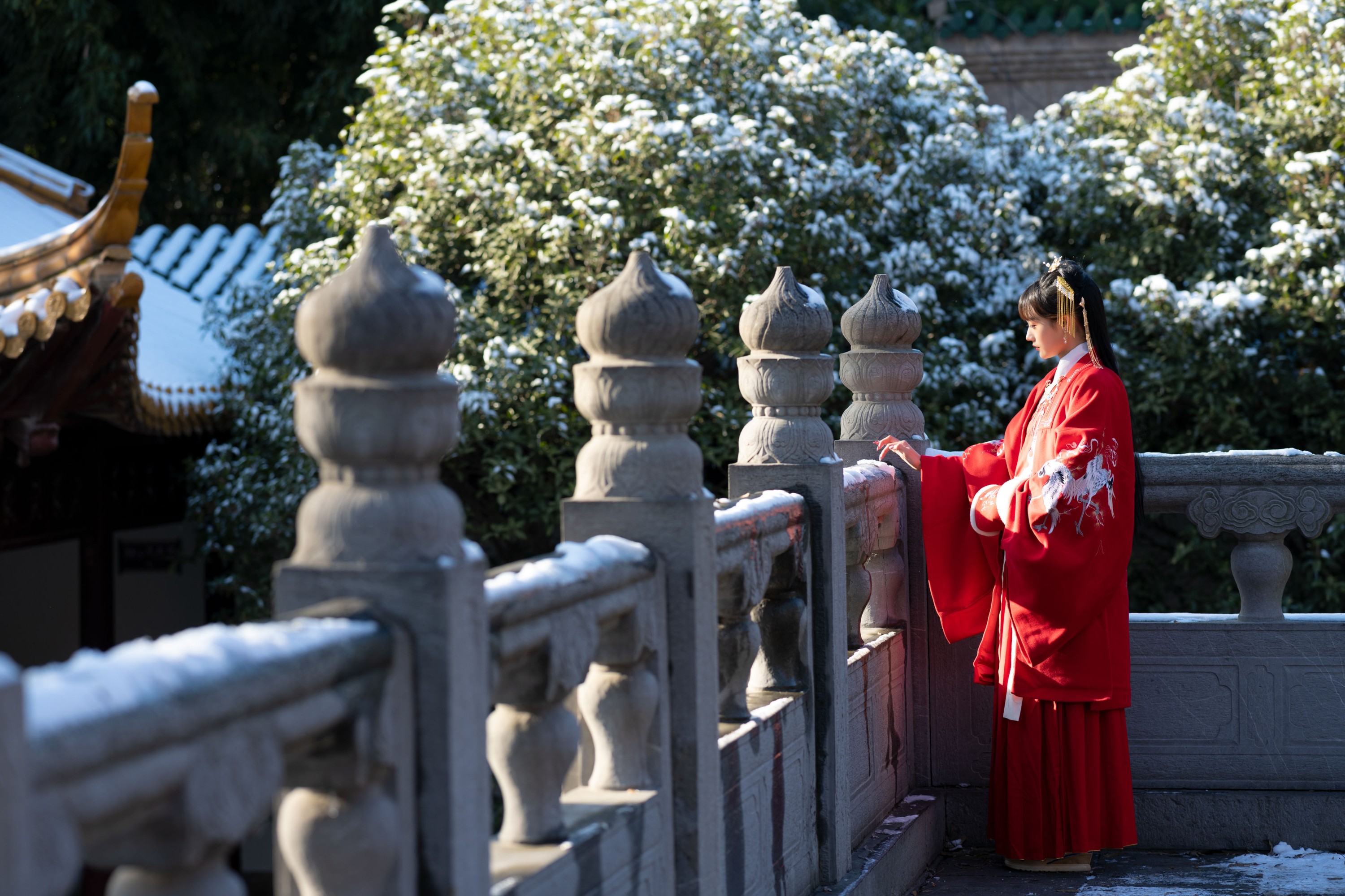 兔子Zzz不吃胡萝卜 – 《深宫雪》[28P]