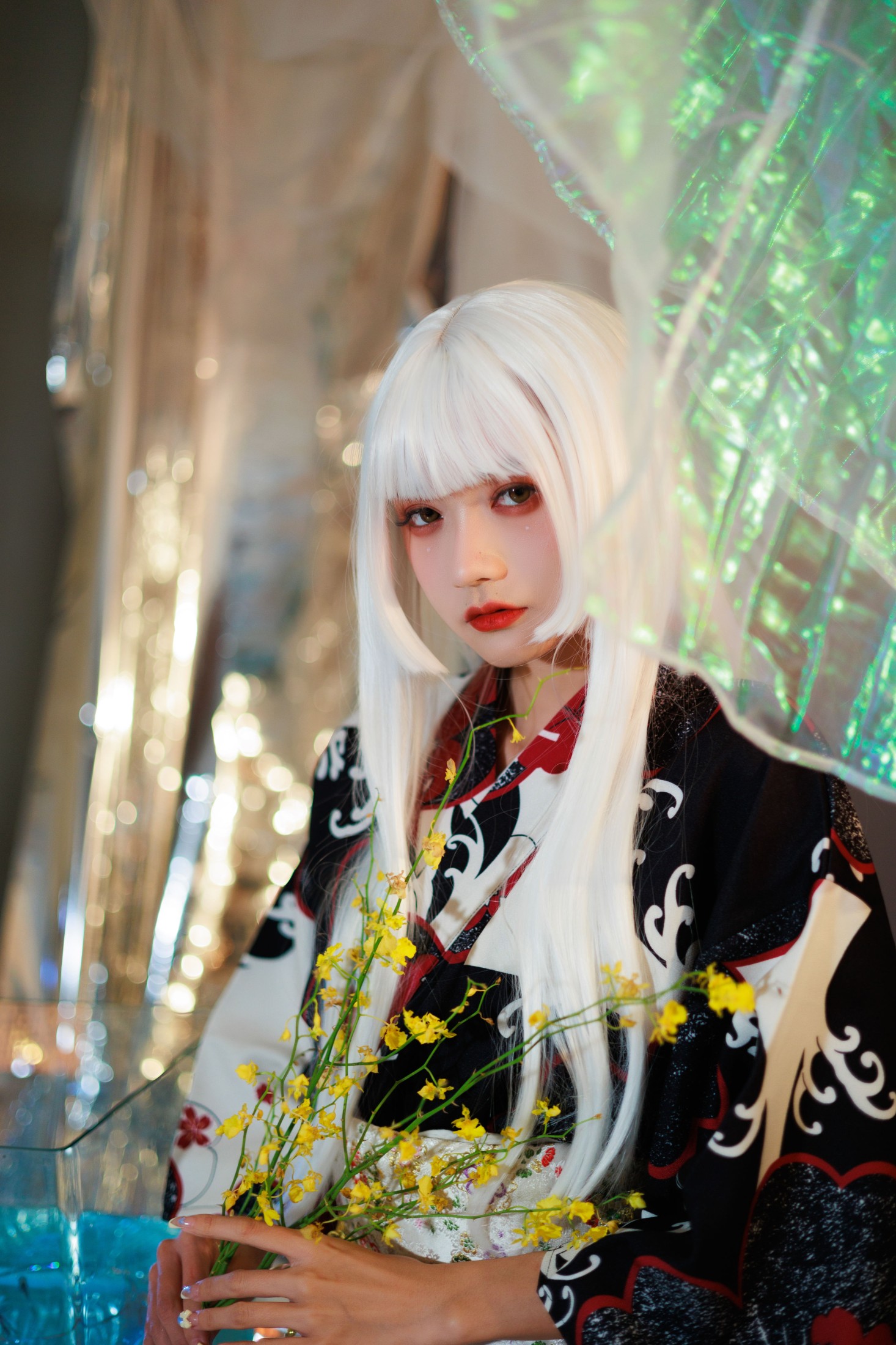 兔子Zzz不吃胡萝卜 – 《白发姬》[43P]