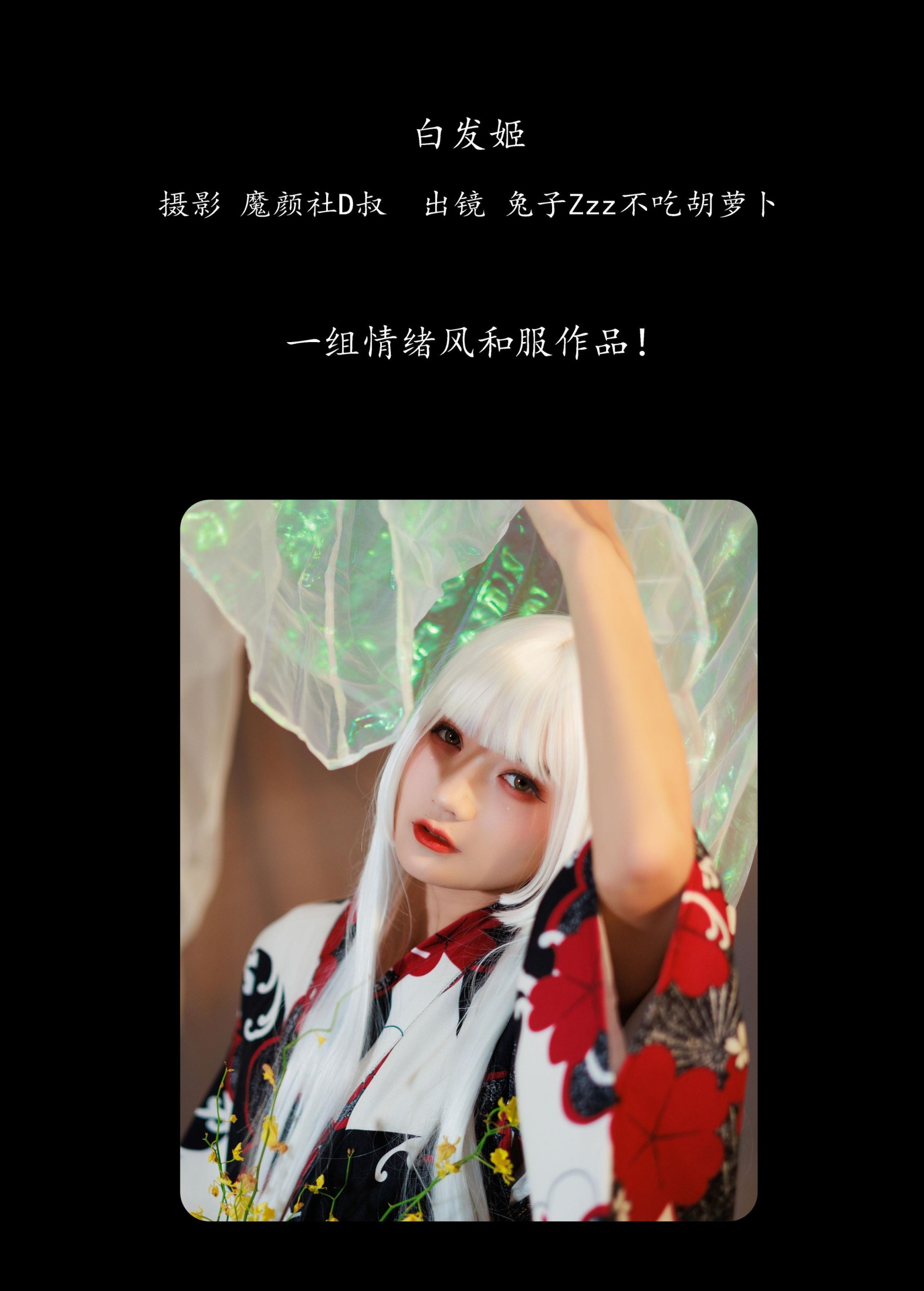 兔子Zzz不吃胡萝卜 – 《白发姬》[43P]