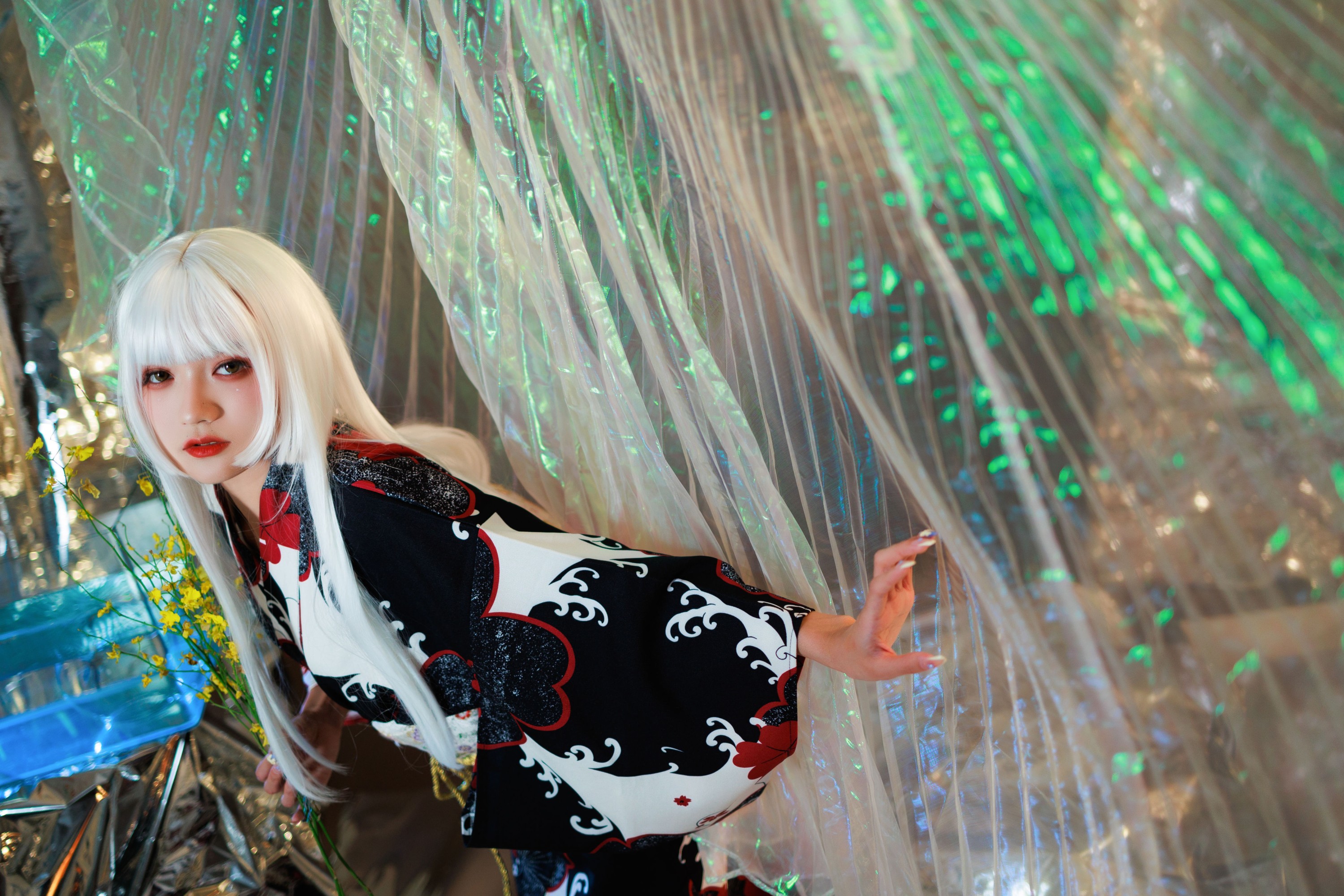 兔子Zzz不吃胡萝卜 – 《白发姬》[43P]