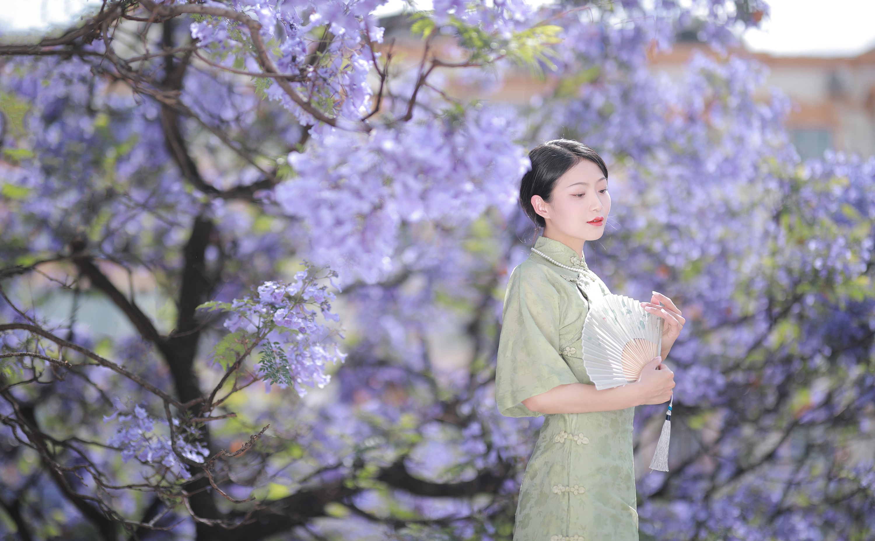 nya酱的铃铛铛 – 《蓝花楹》[24P]