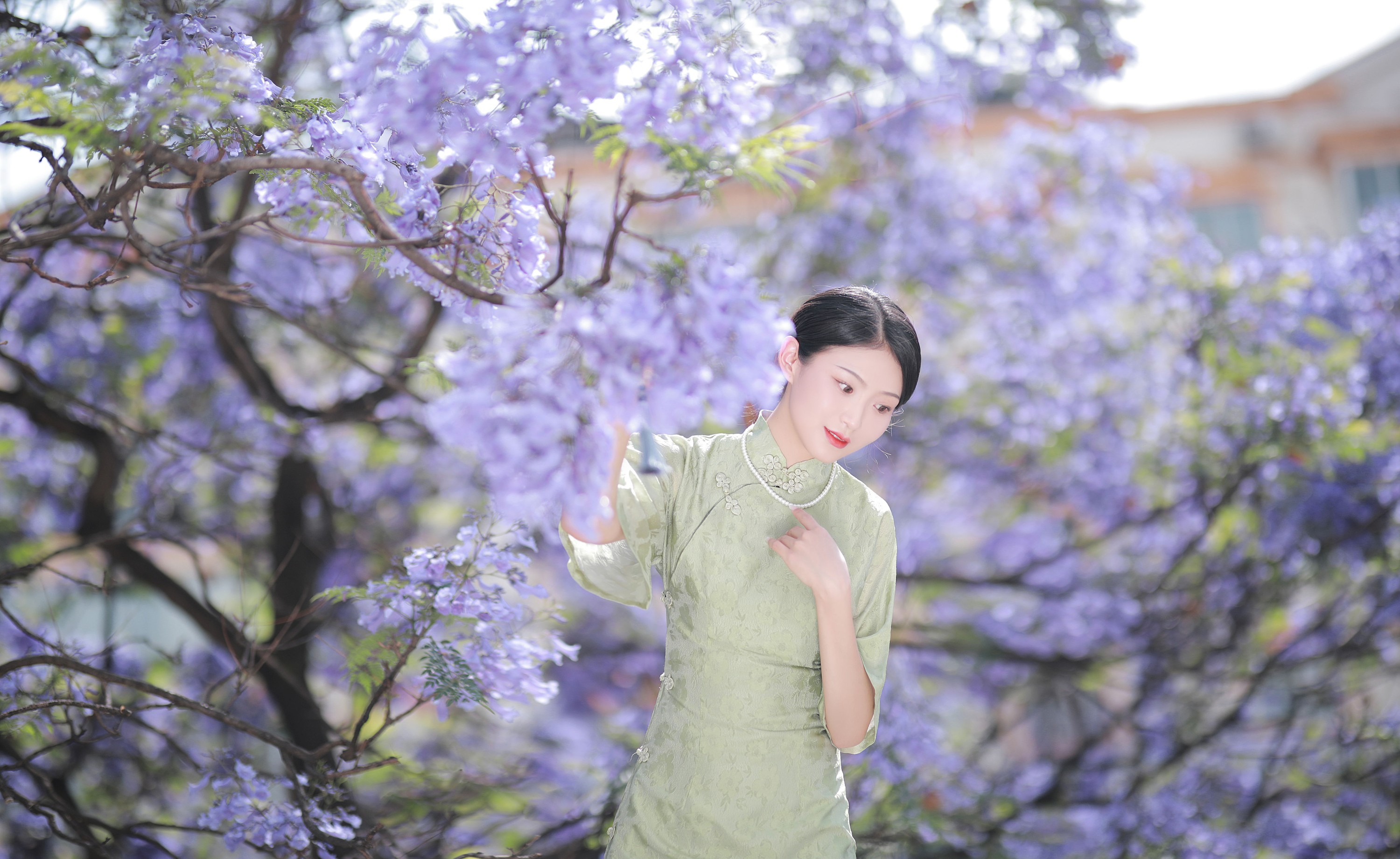 nya酱的铃铛铛 – 《蓝花楹》[24P]