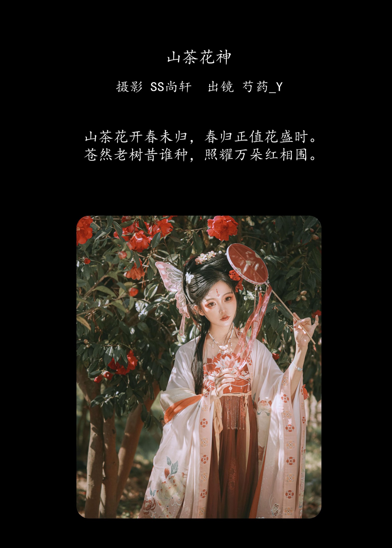 芍药_Y – 《山茶花神》[42P]