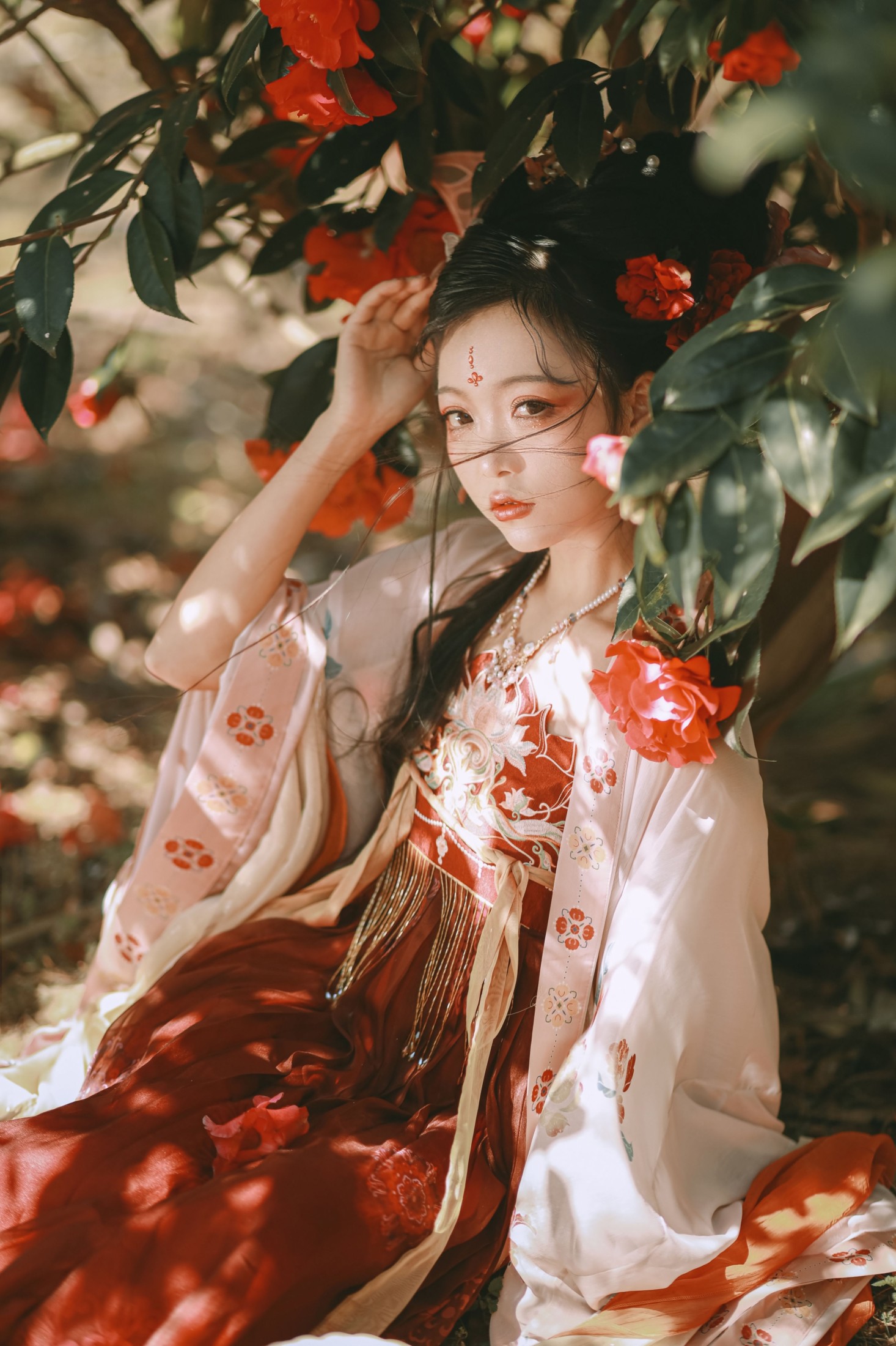 芍药_Y – 《山茶花神》[42P]