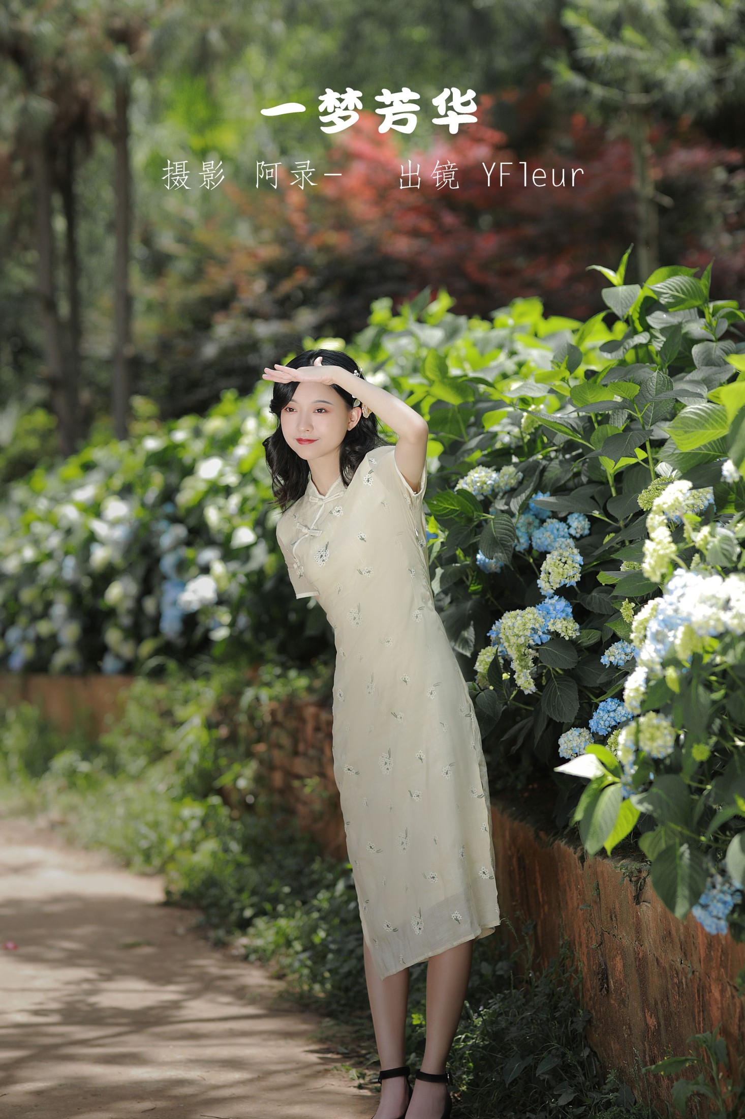 与芳 – 《一梦芳华》[28P]