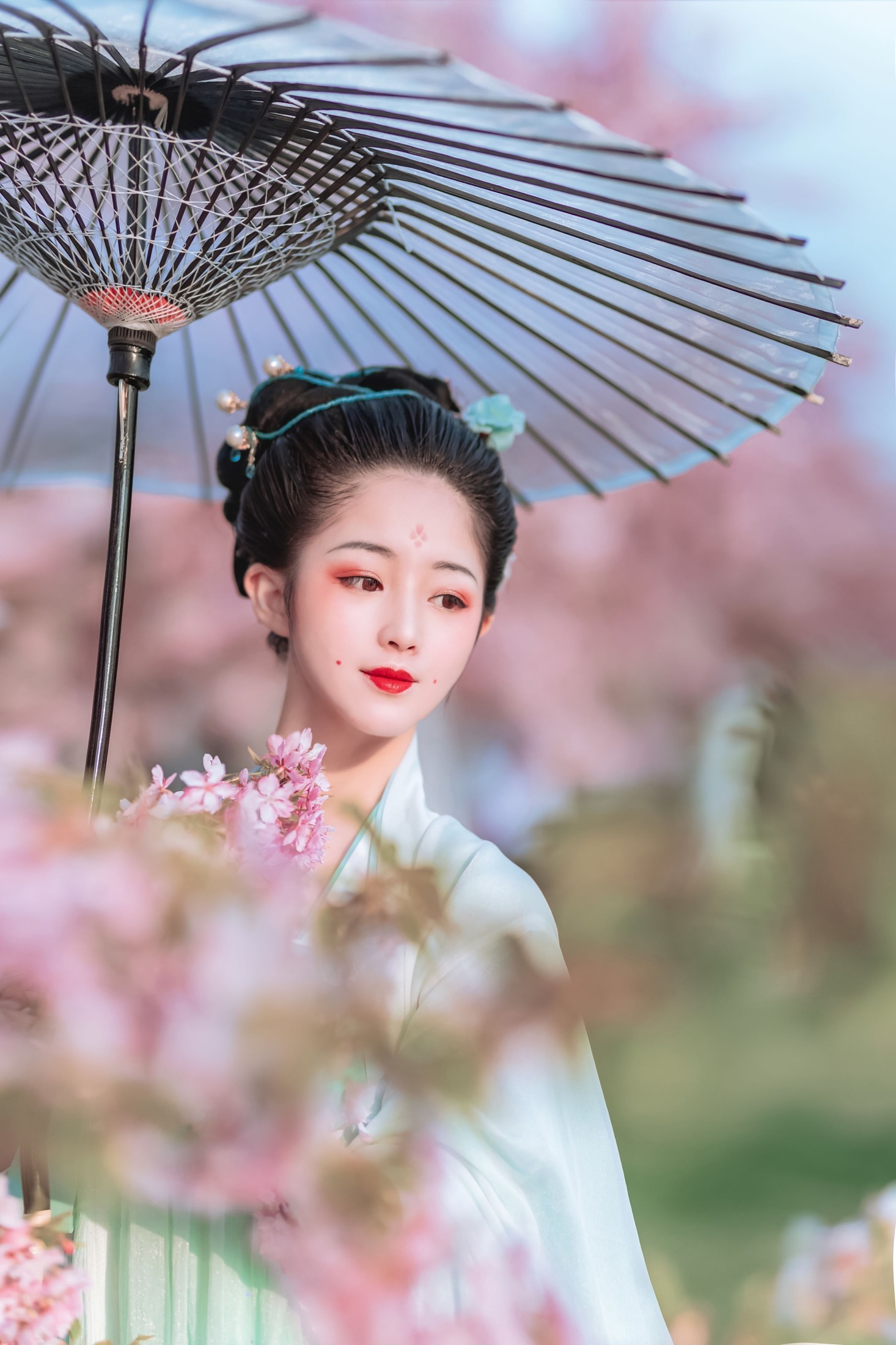 蟋蟀呀 – 《樱花美人》[32P]