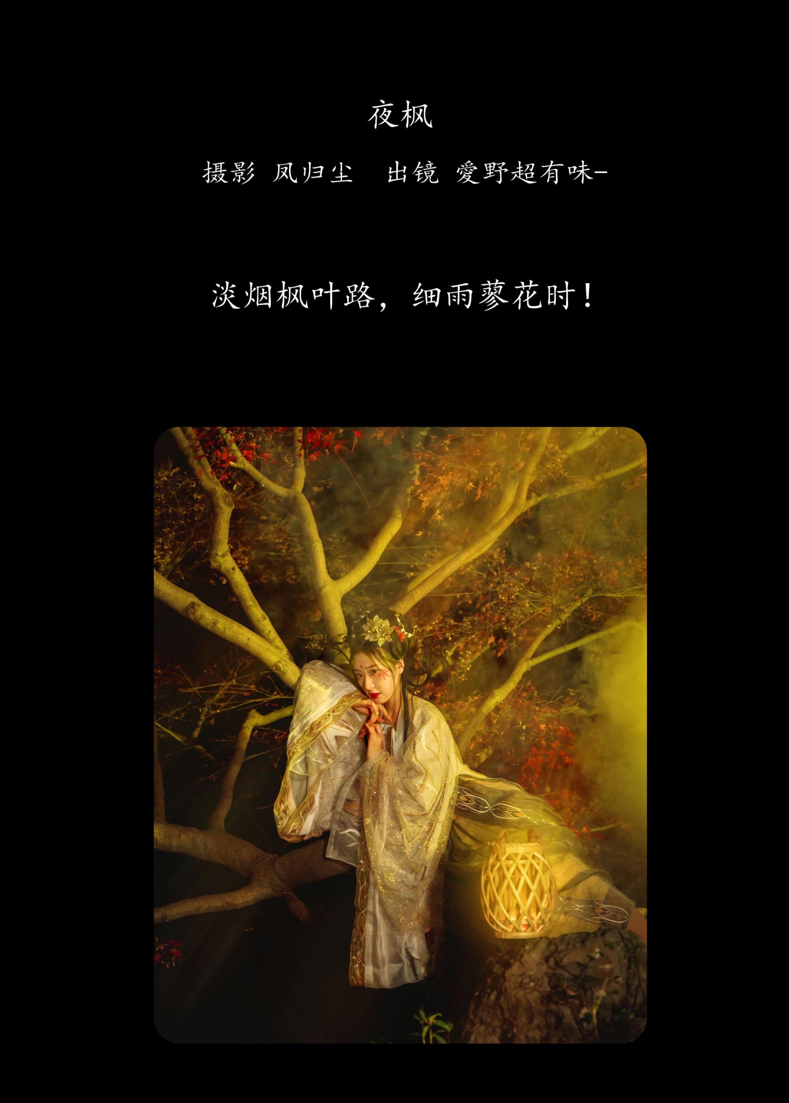 爱野超有味 – 《夜枫》[25P] 插图2