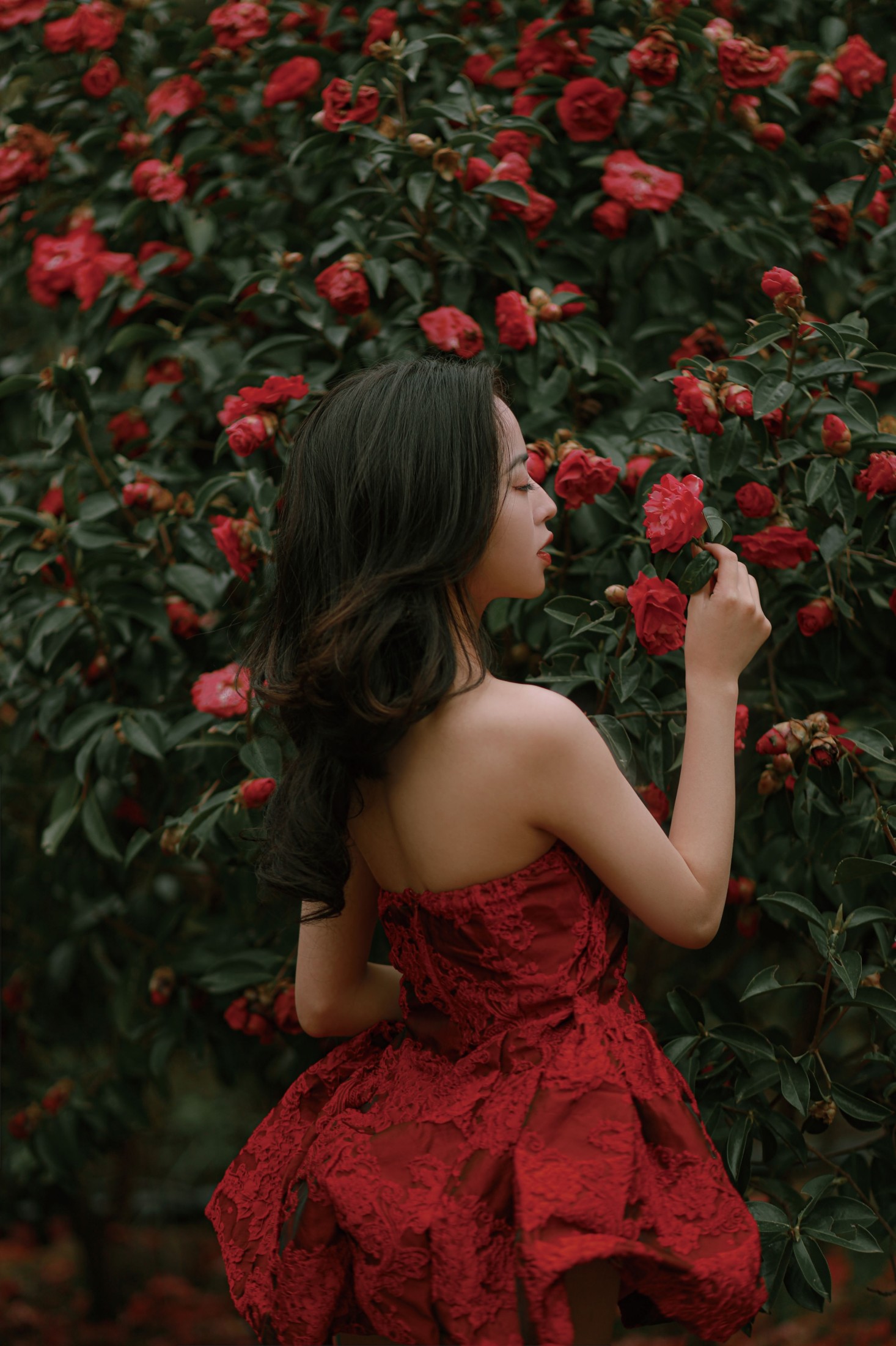 卖恐龙的小红薯 – 《落红》[47P]