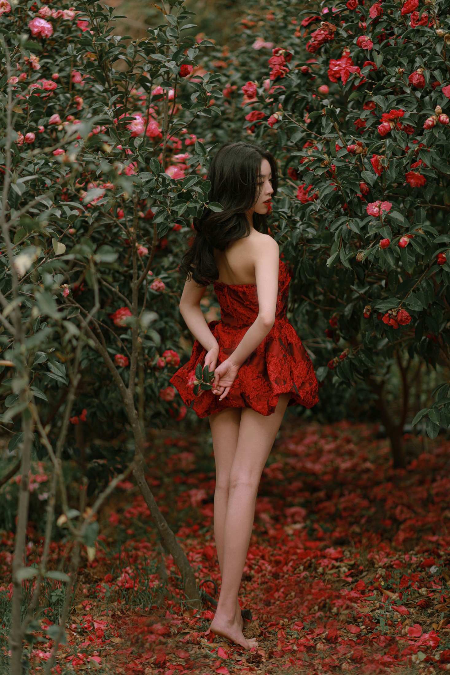 卖恐龙的小红薯 – 《落红》[47P]