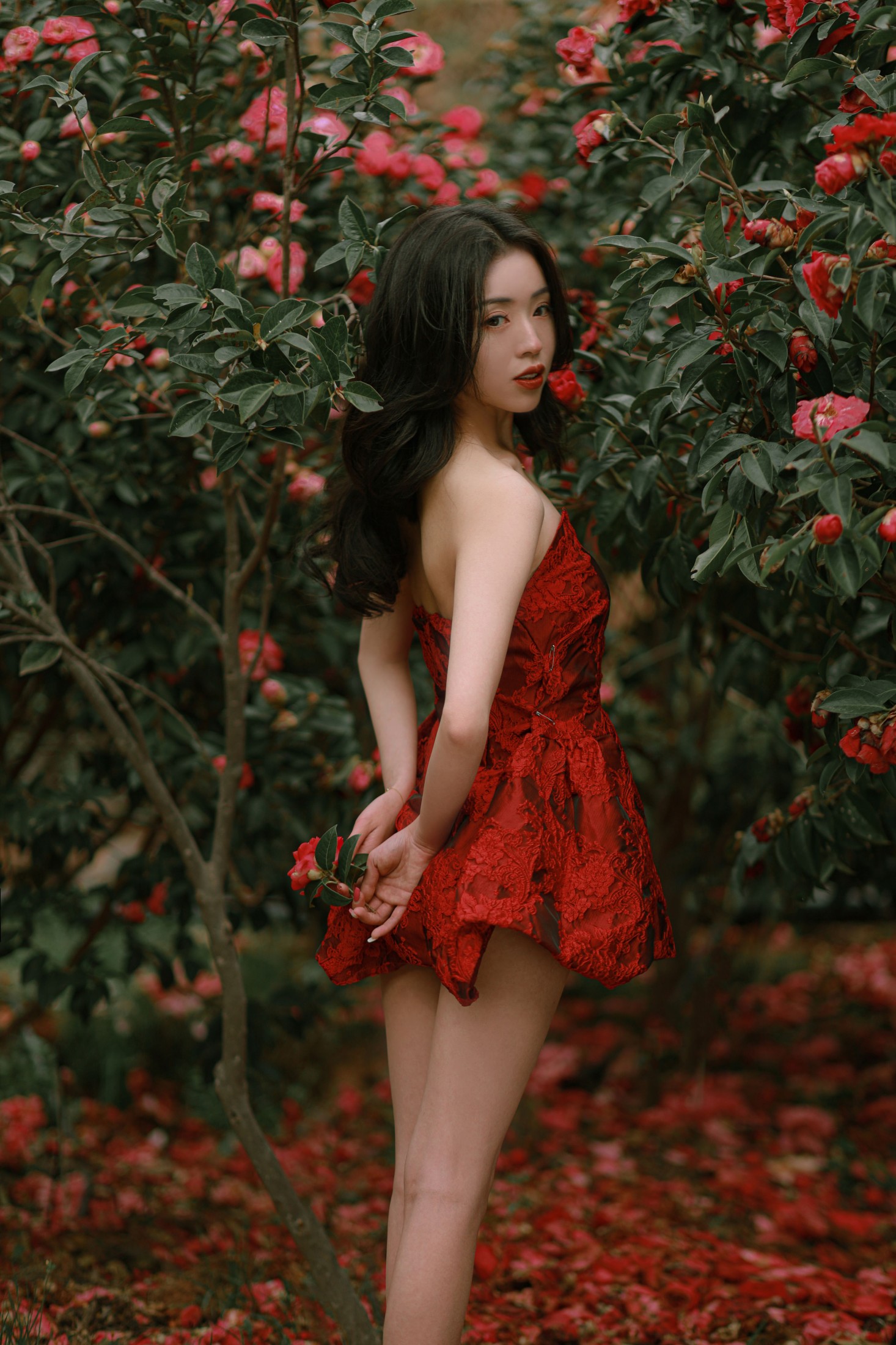 卖恐龙的小红薯 – 《落红》[47P]