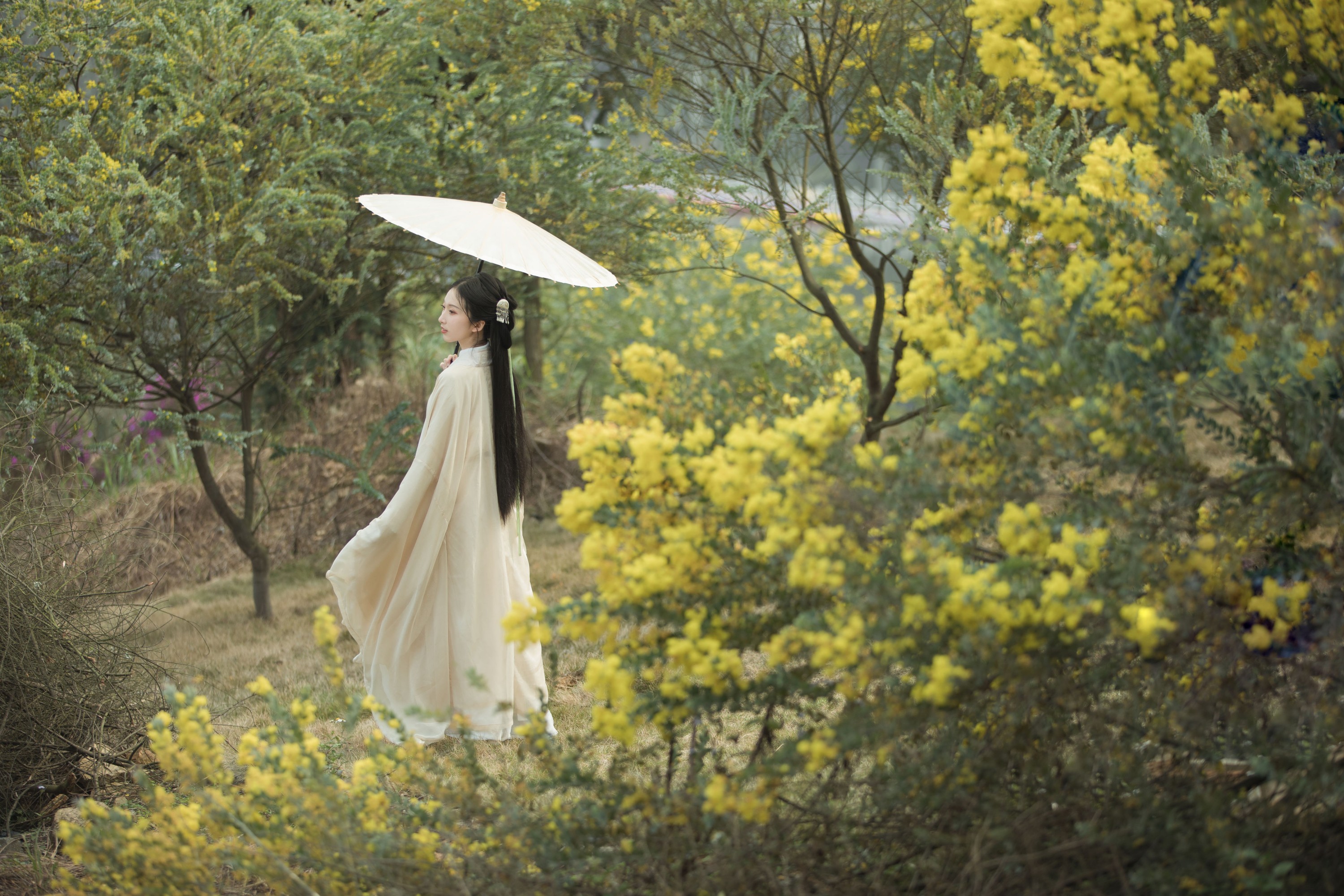 mininekoo – 《合欢枝》[22P]