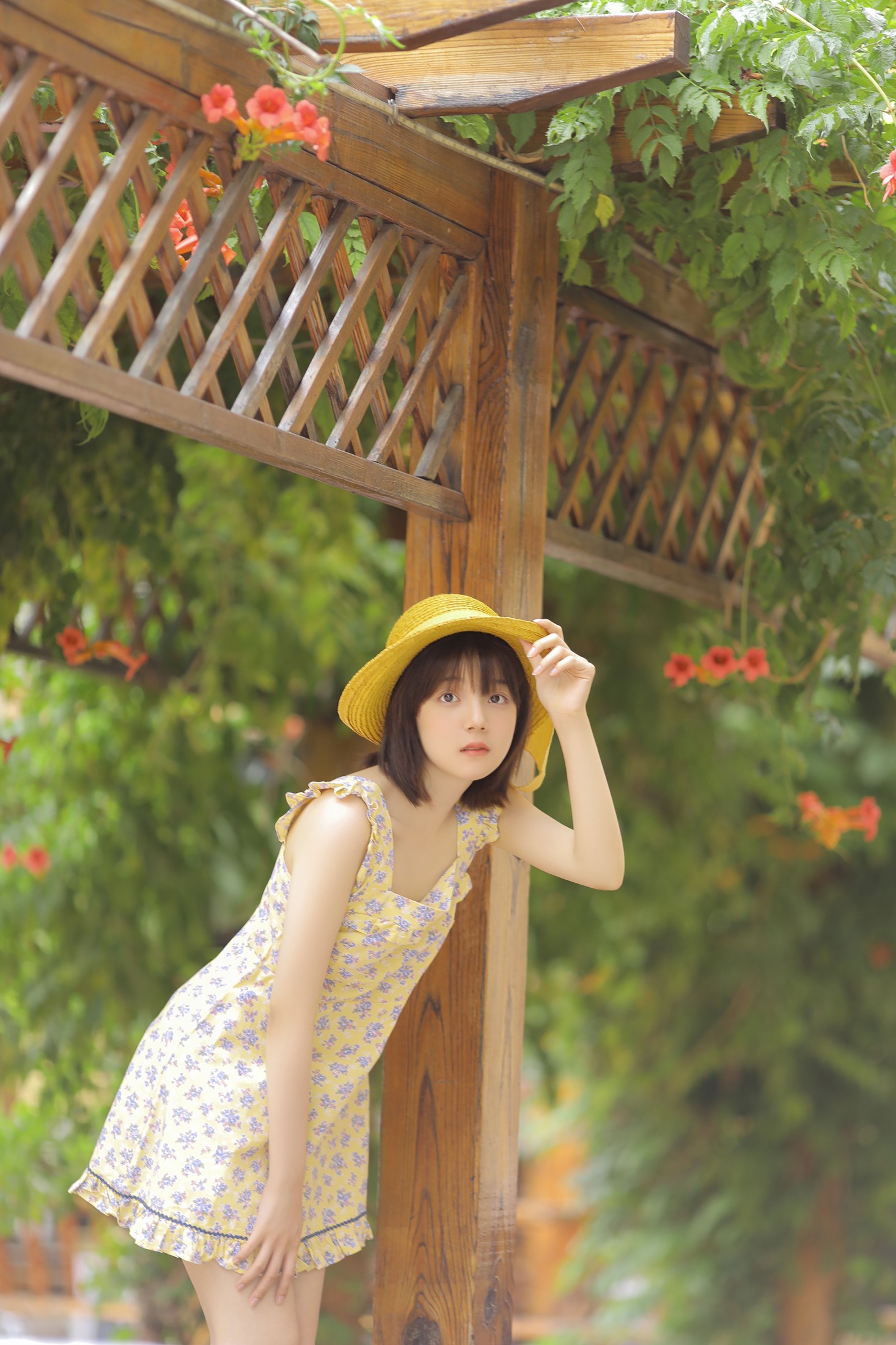 不知秃 – 《悠悠夏日长》[20P]