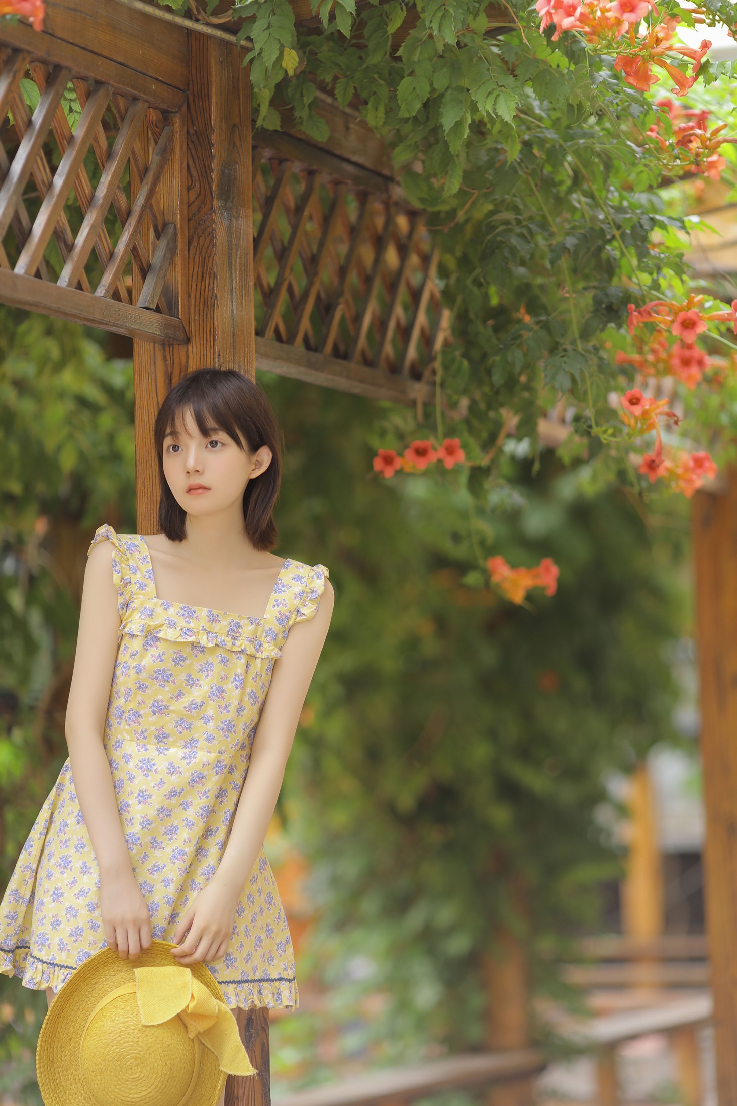 不知秃 – 《悠悠夏日长》[20P]