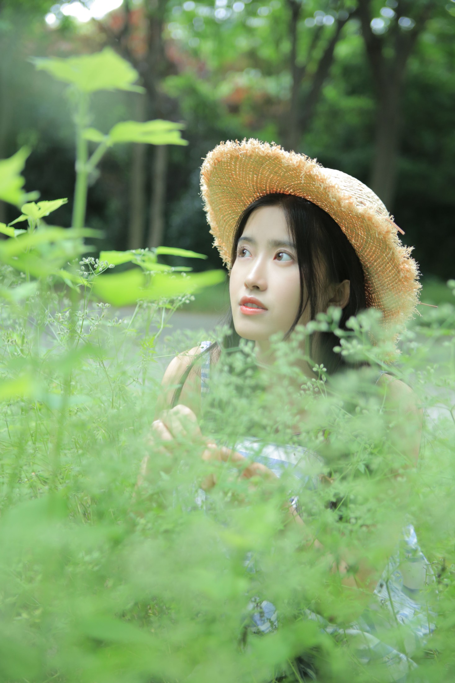 小草草呀 – 《Hatsukio》[35P] 插图4