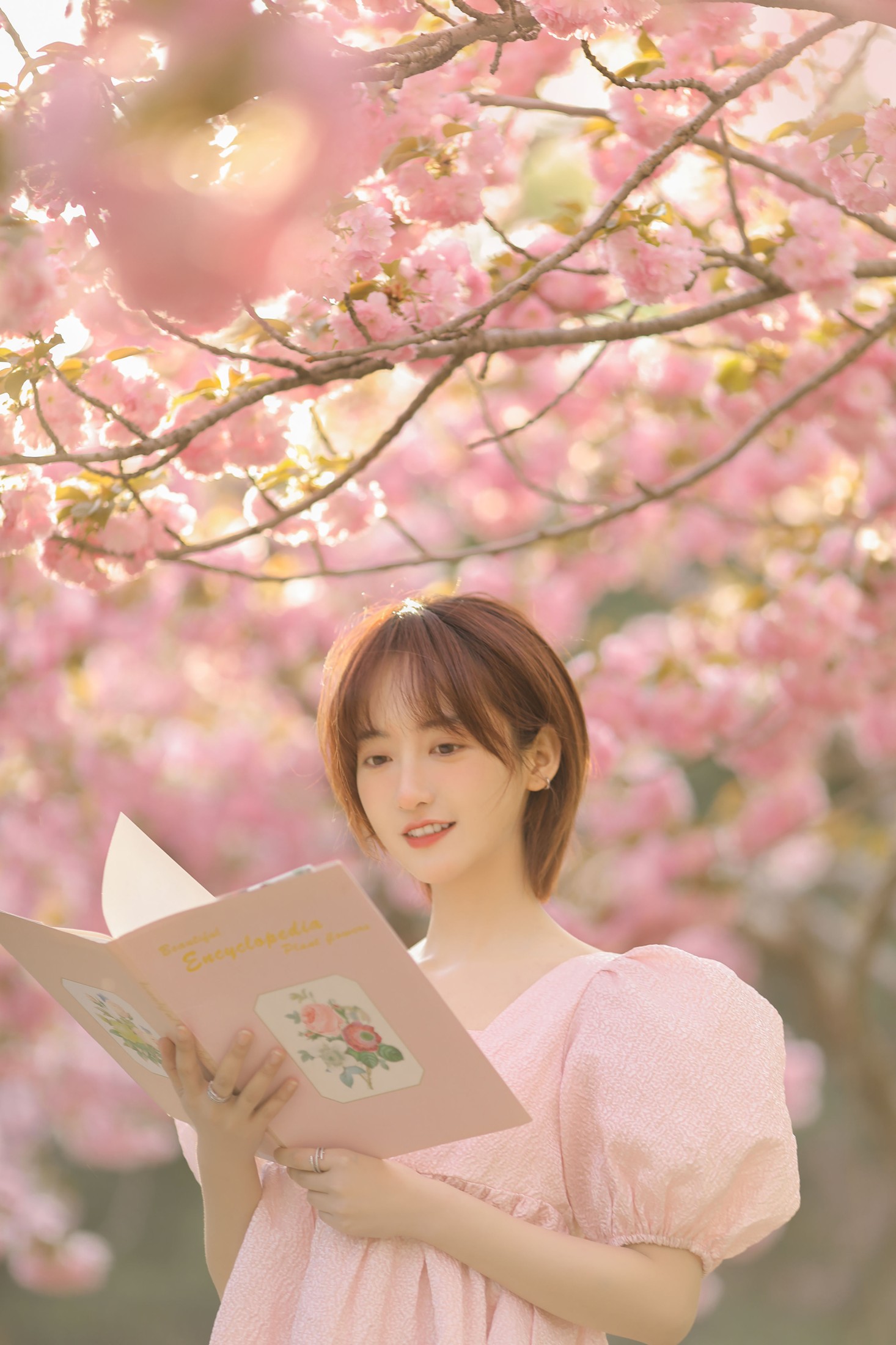 程凡 – 《樱落》[21P]