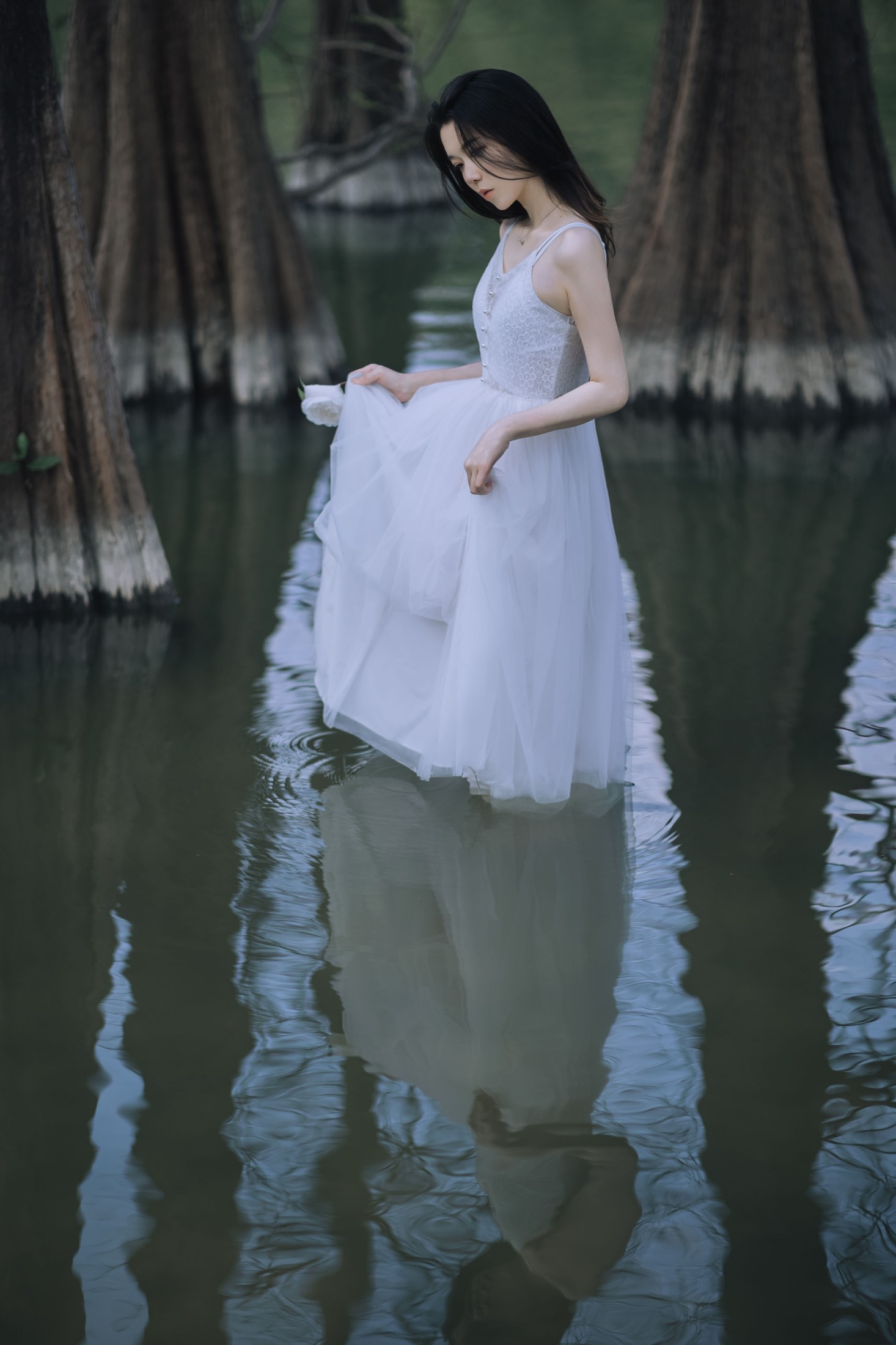 航子就是航子呀 – 《水生植物》[24P]