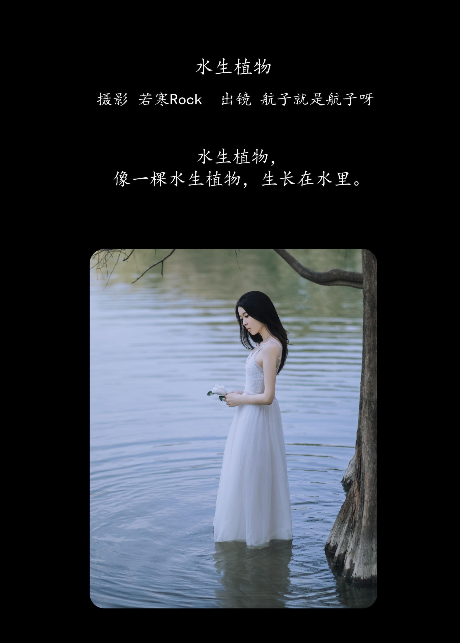 航子就是航子呀 – 《水生植物》[24P]